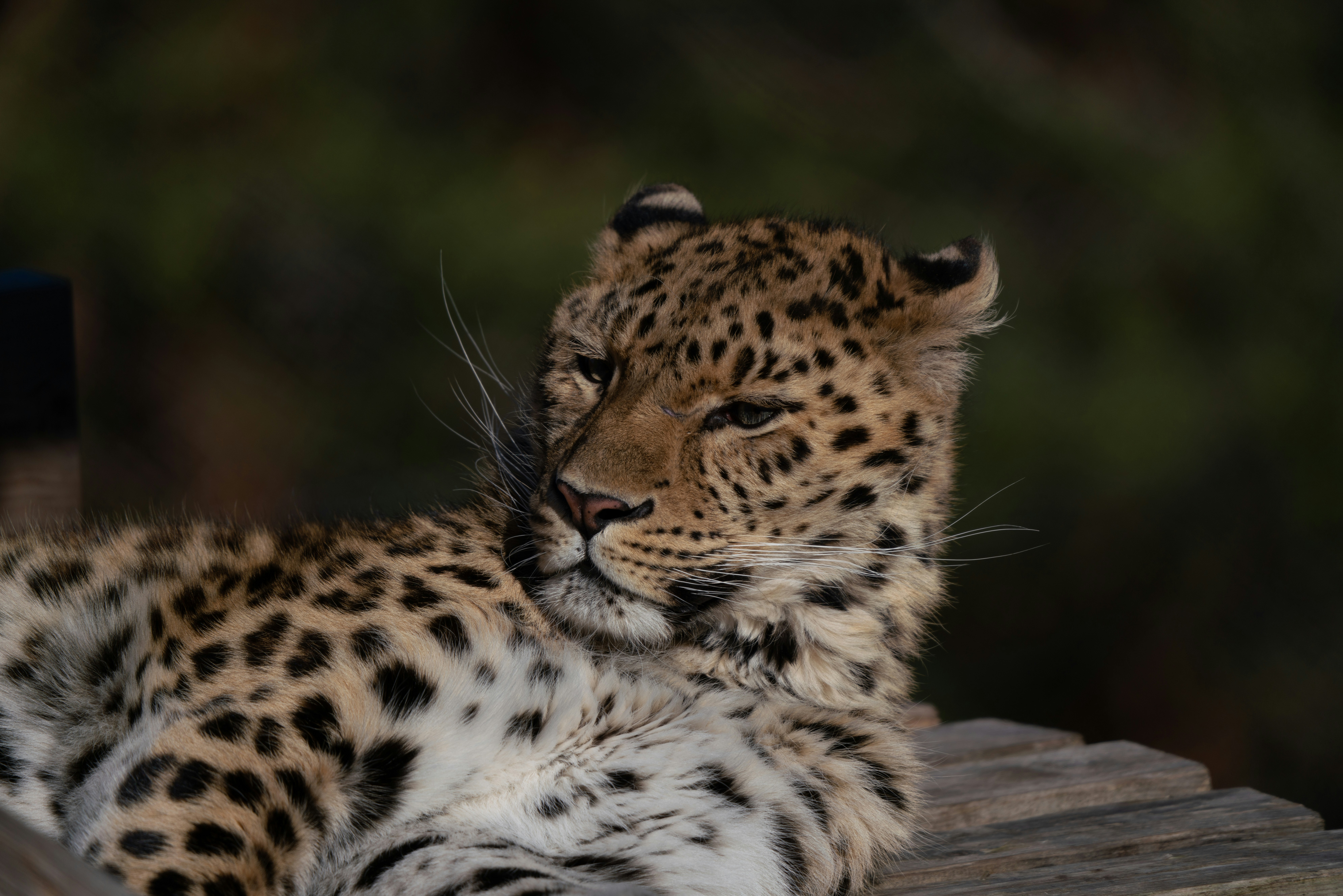 Photo by nihongraphy2