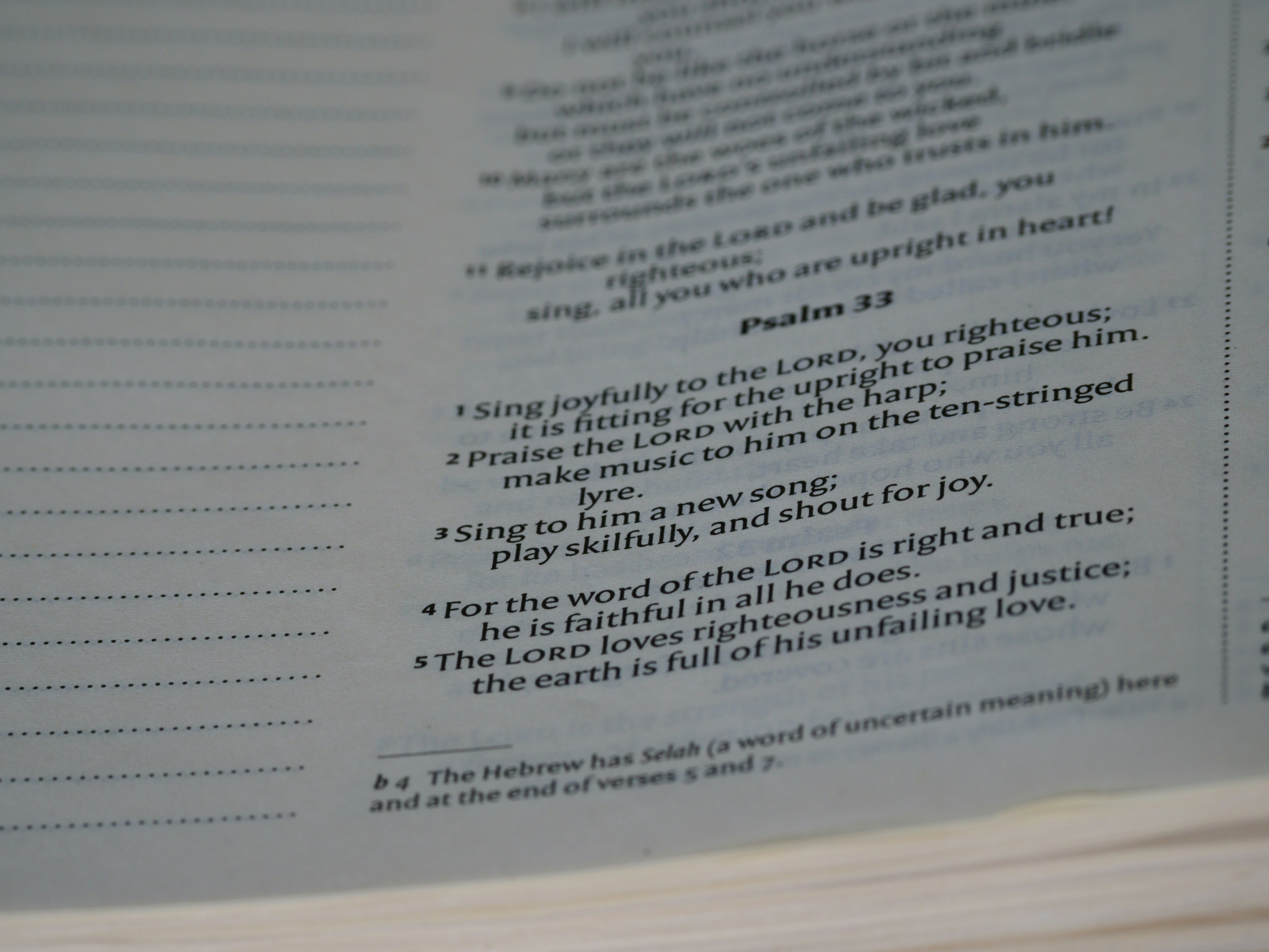 Photo by brett_jordan