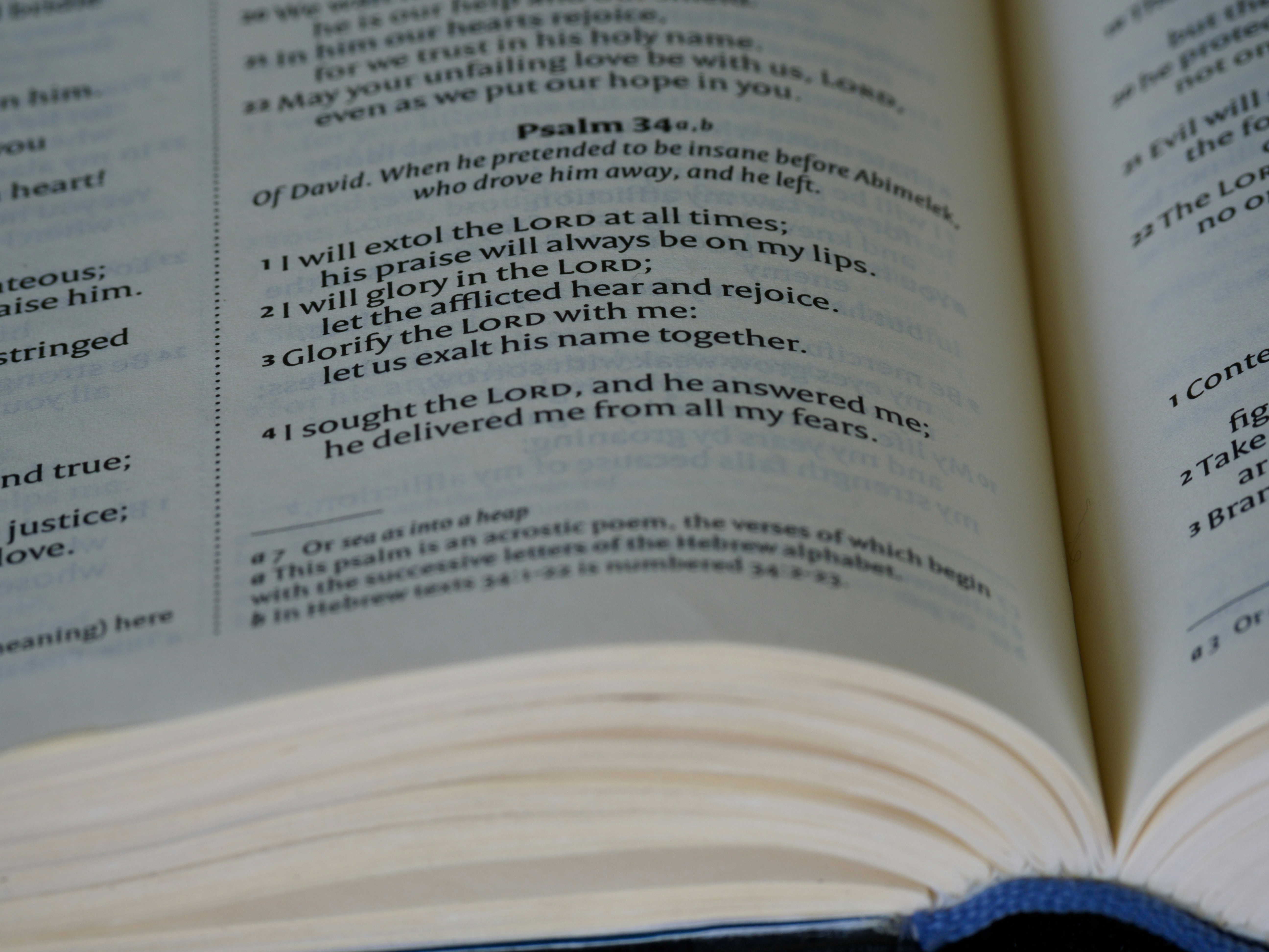 Photo by brett_jordan