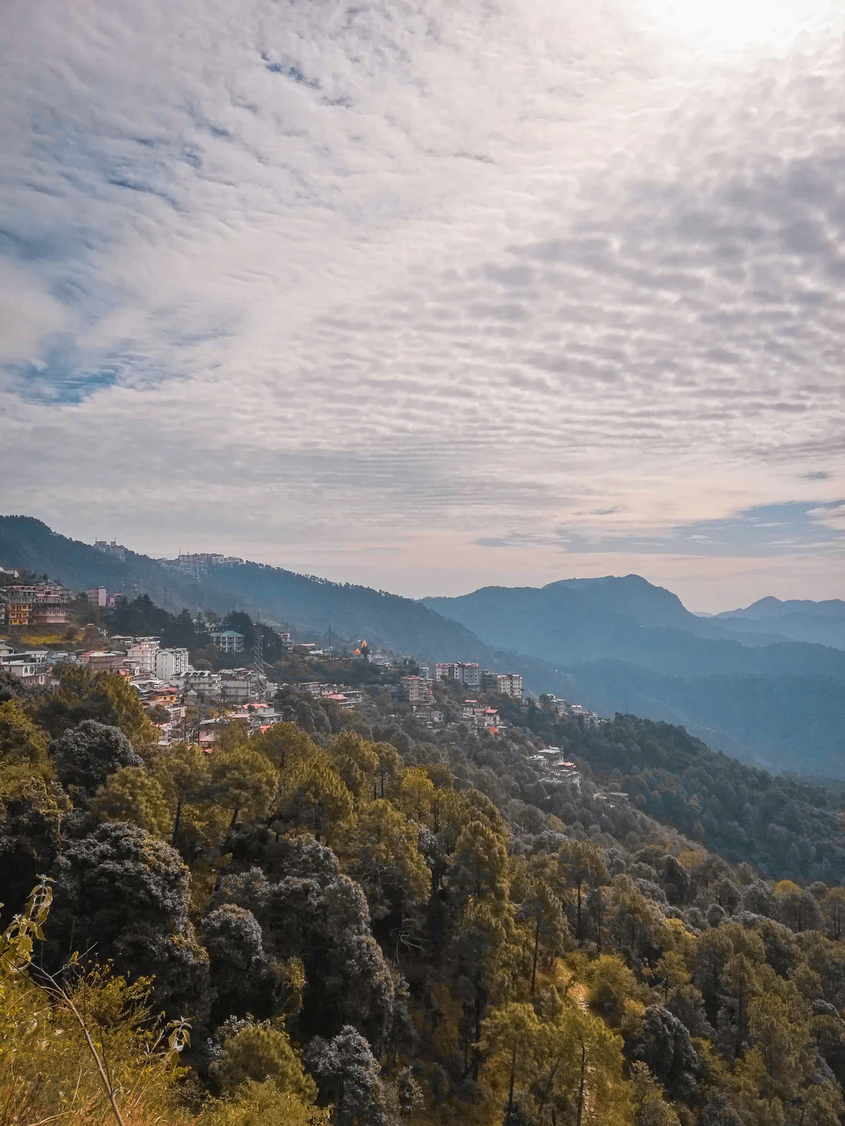 Shimla