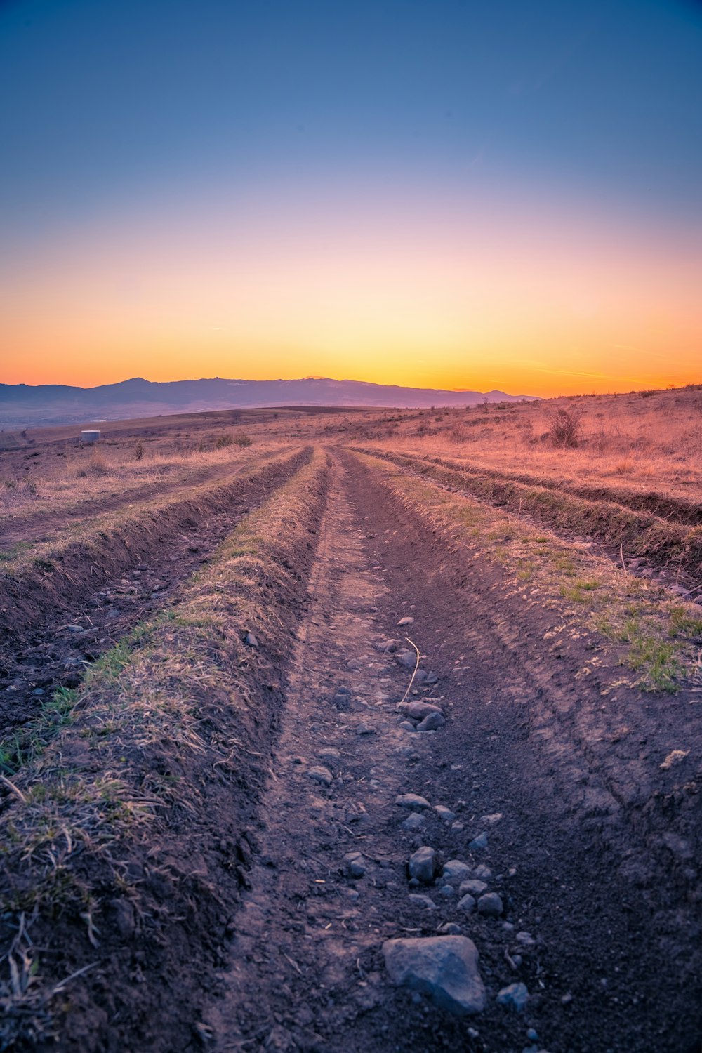 a dirt road in the middle of a field