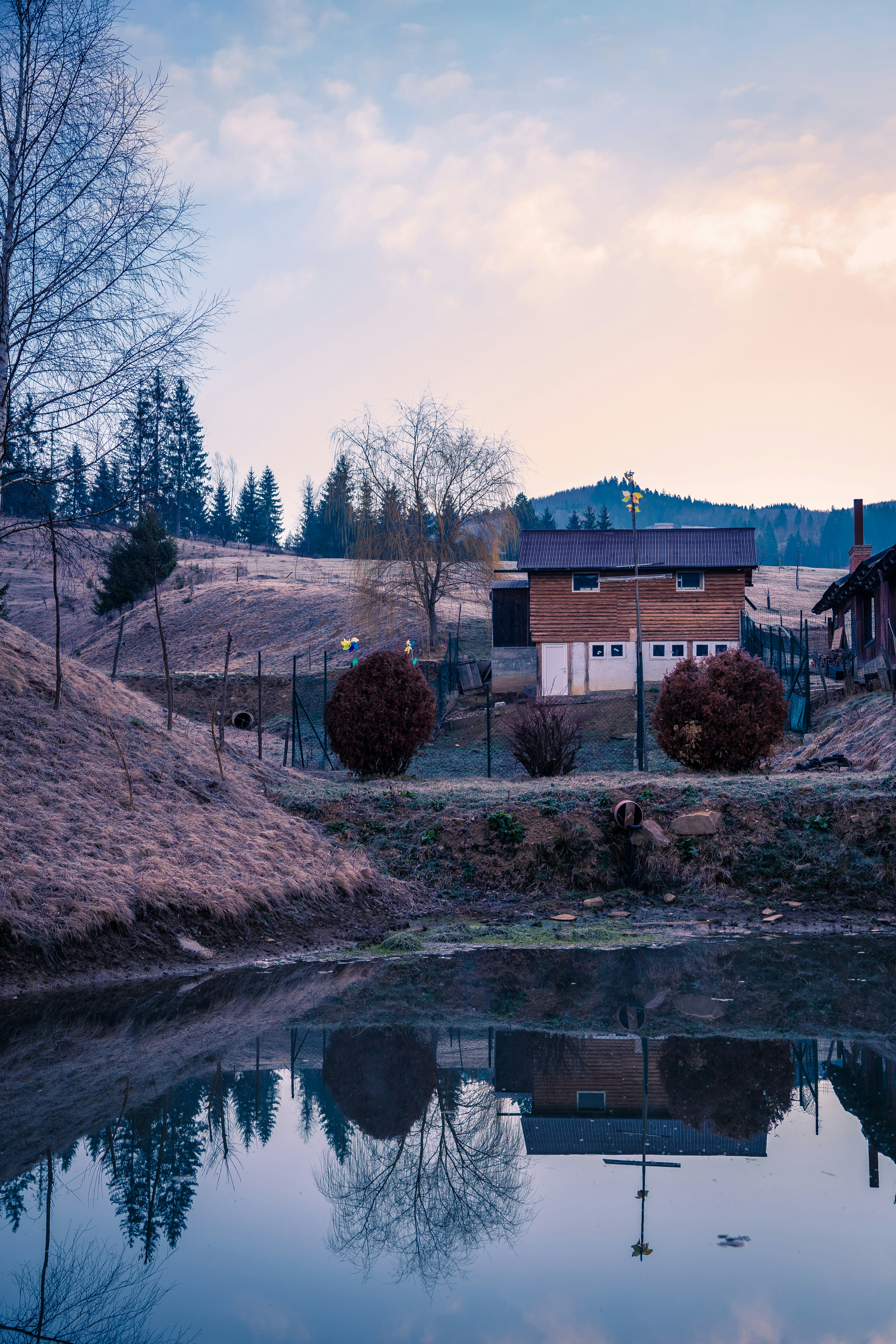 Sighisoara – Food & Dining Culture