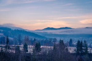 Morning Mist