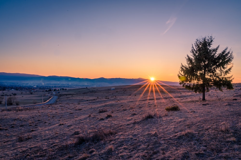 the sun is setting over a field with a lone tree