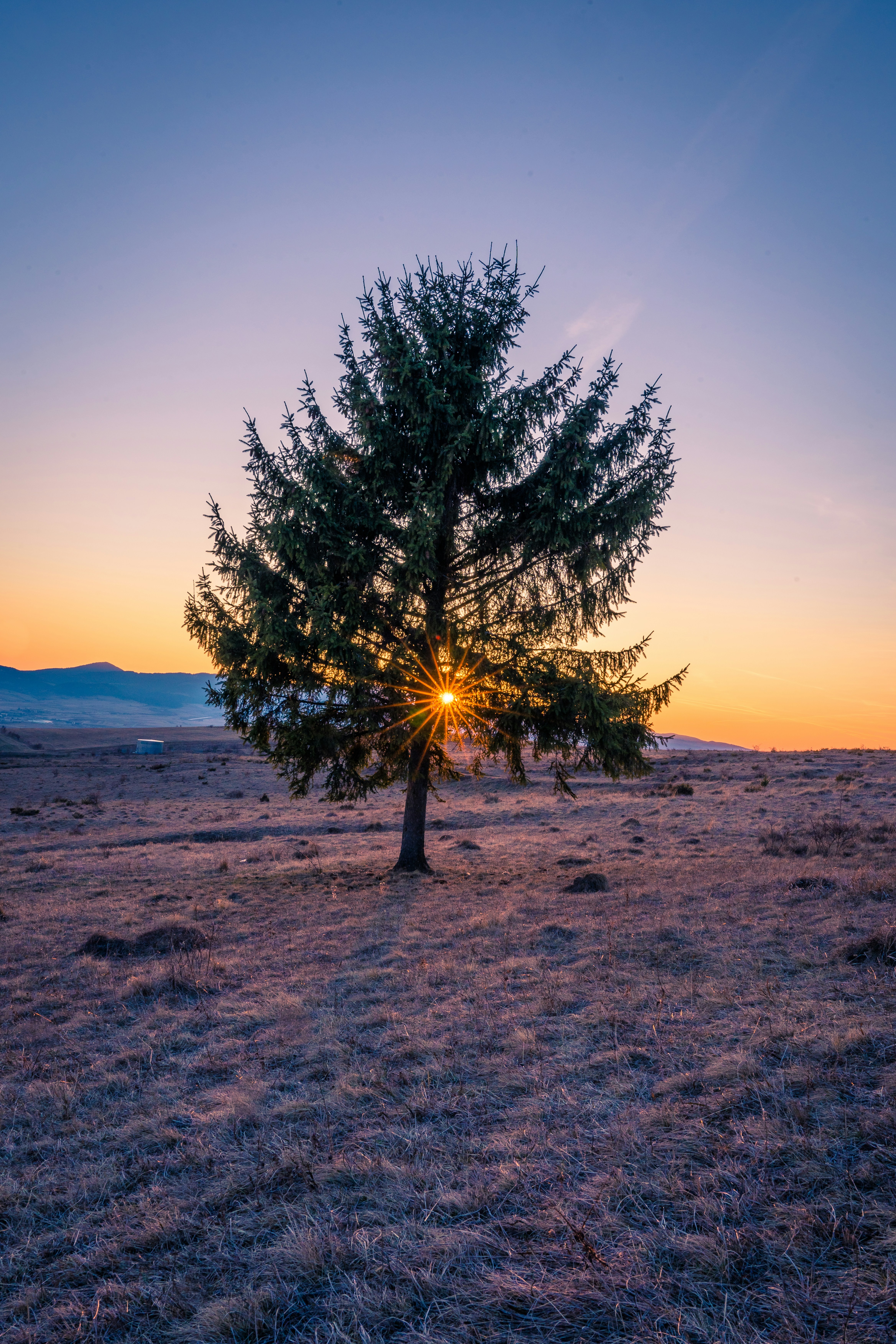 숨 막히는 진실: 미세먼지가 당신의 몸에 남기는 끔찍한 흔적들