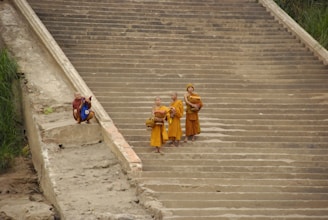 A group of young monks wearing saffron robes are standing on a large stone staircase. They are holding alms bowls and appear to be in a contemplative state. The stone staircase is wide and weathered, flanked by greenery on the side. The setting is serene and suggests an outdoor, possibly temple-related location.