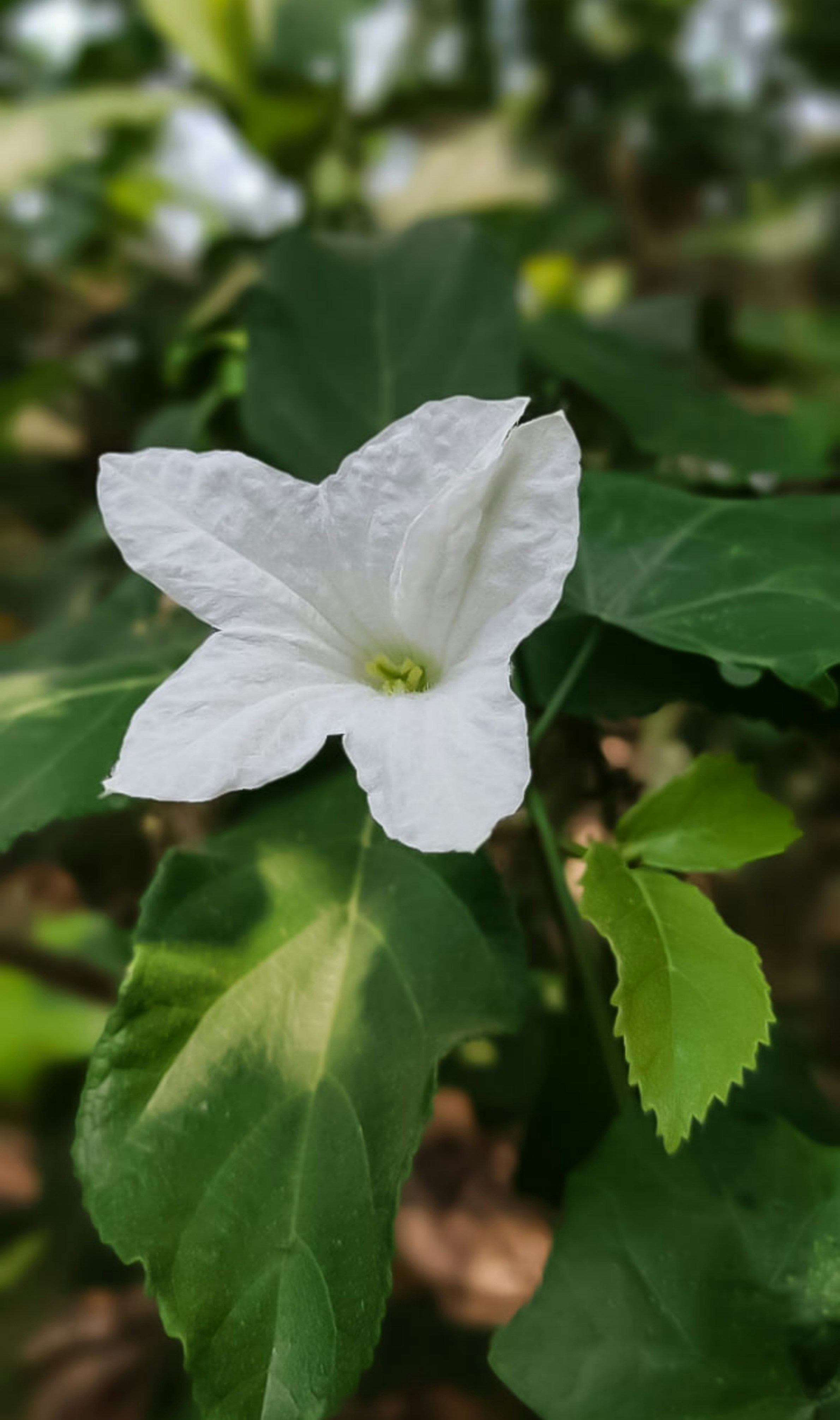 Photo by chinmaysethi31