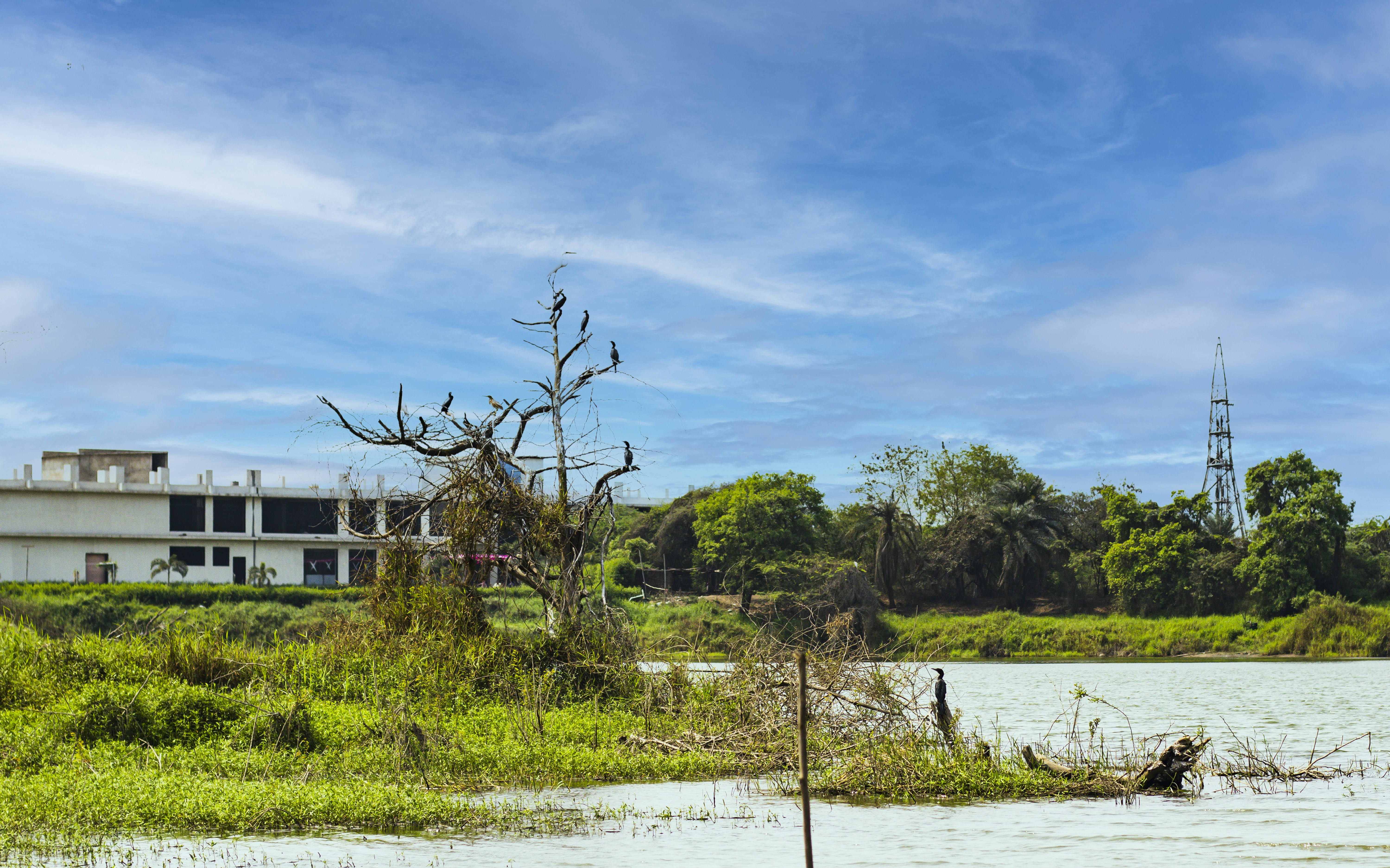 Photo by vdphotography