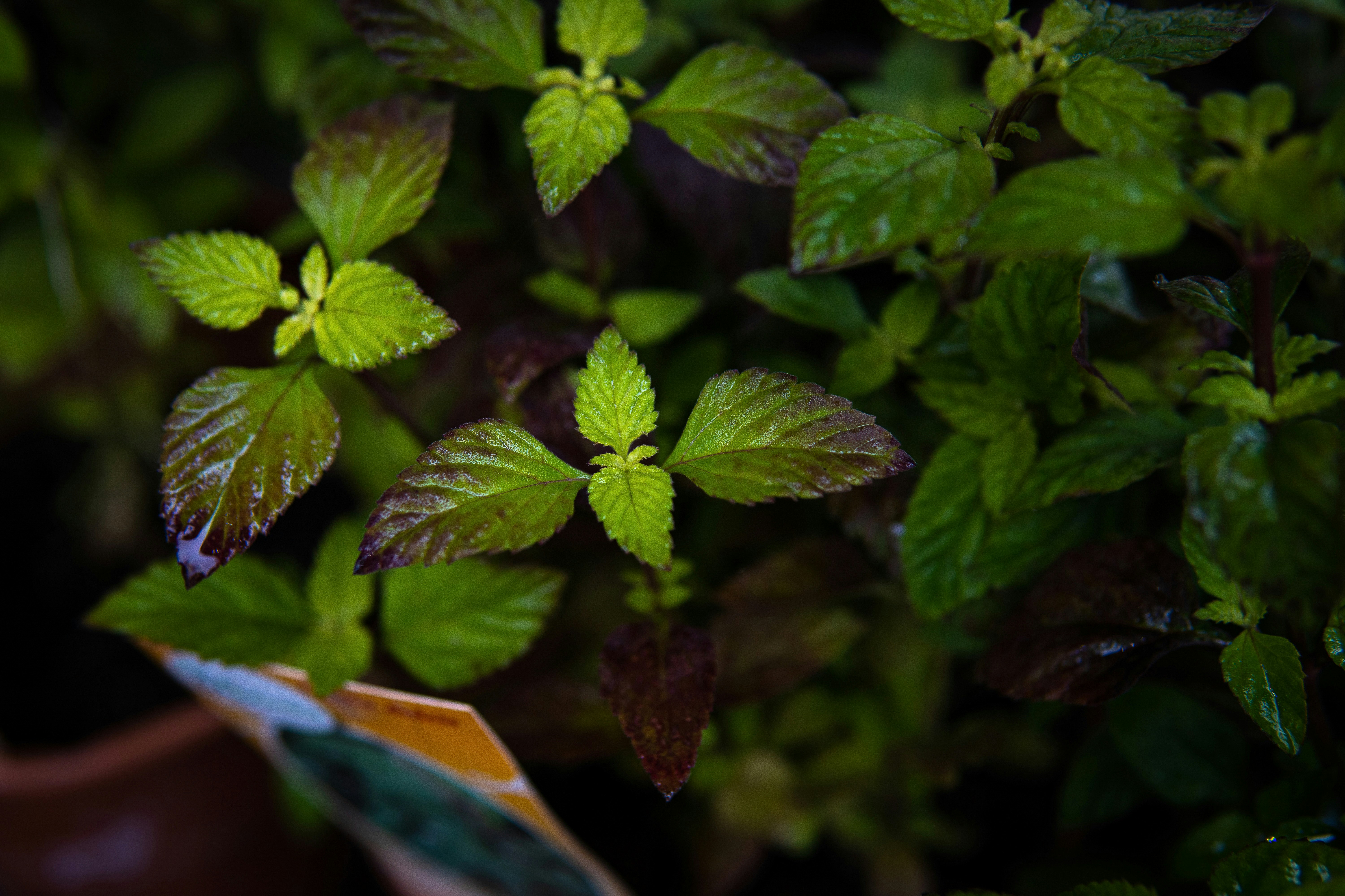 photo 1649840843490 887d3e0a2535?ixid=MnwyMzE1Njh8MHwxfGFsbHx8fHx8fHx8fDE2NzM3NTE5NDg&ixlib=rb 4.0