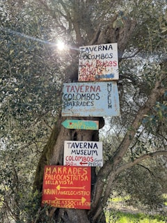 A tree with several colorful wooden signs nailed to its trunk, advertising different local attractions and dining spots. The signs display various text in mixed languages, including 'Taverna', 'Colombos', and direction arrows for nearby locations. Sunlight filters through the leaves, creating a natural and rustic atmosphere.