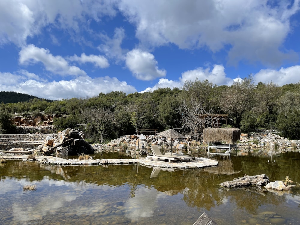 a body of water surrounded by trees and rocks