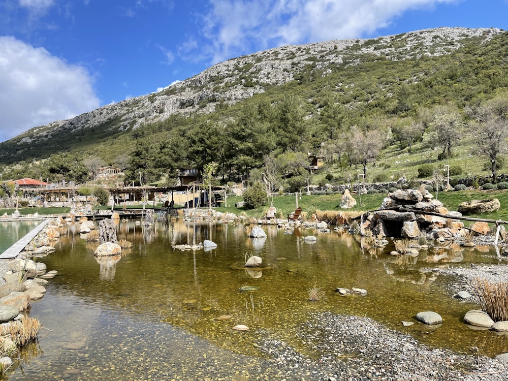 a small pond surrounded by rocks and grass