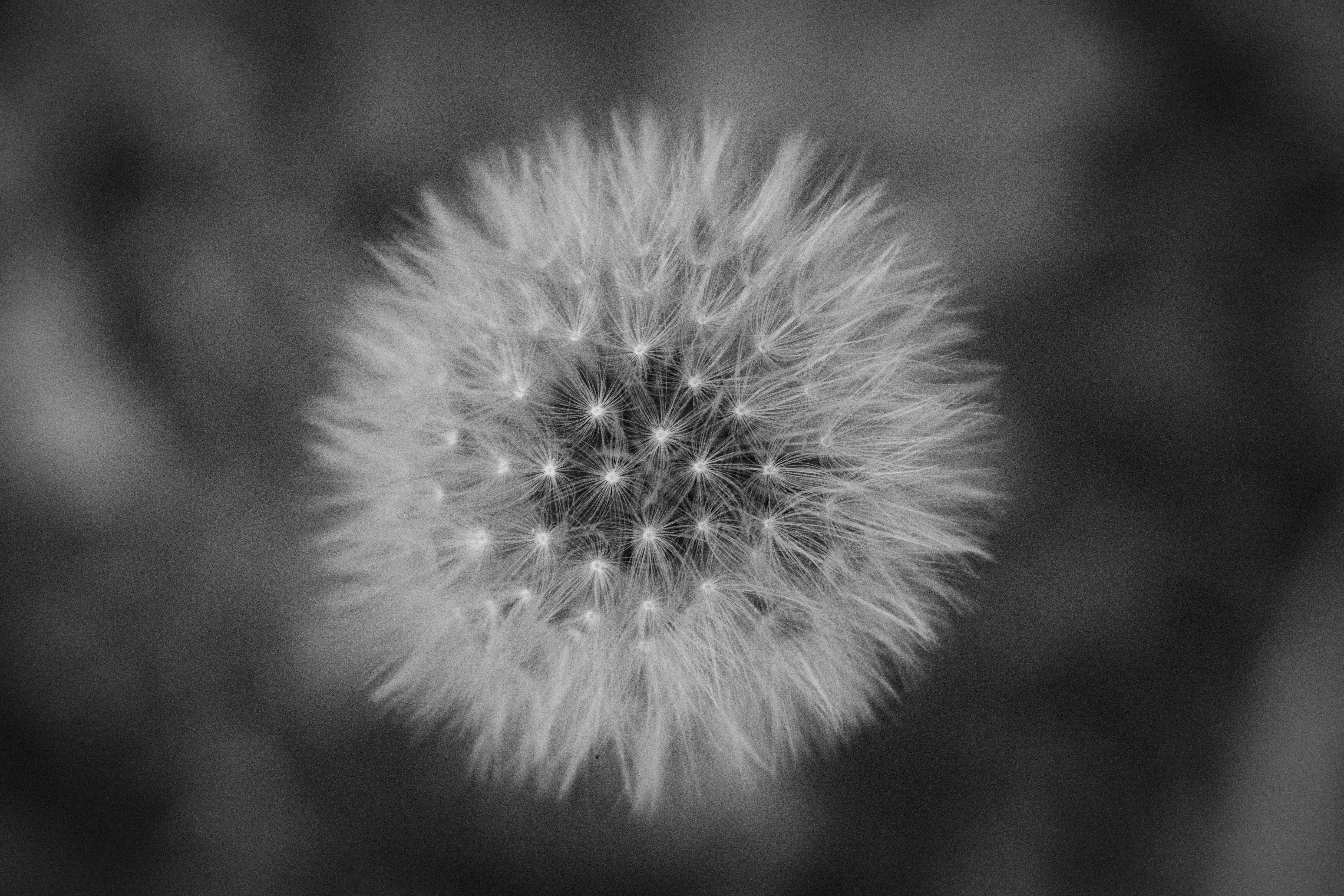 Photo by maedehalinejad