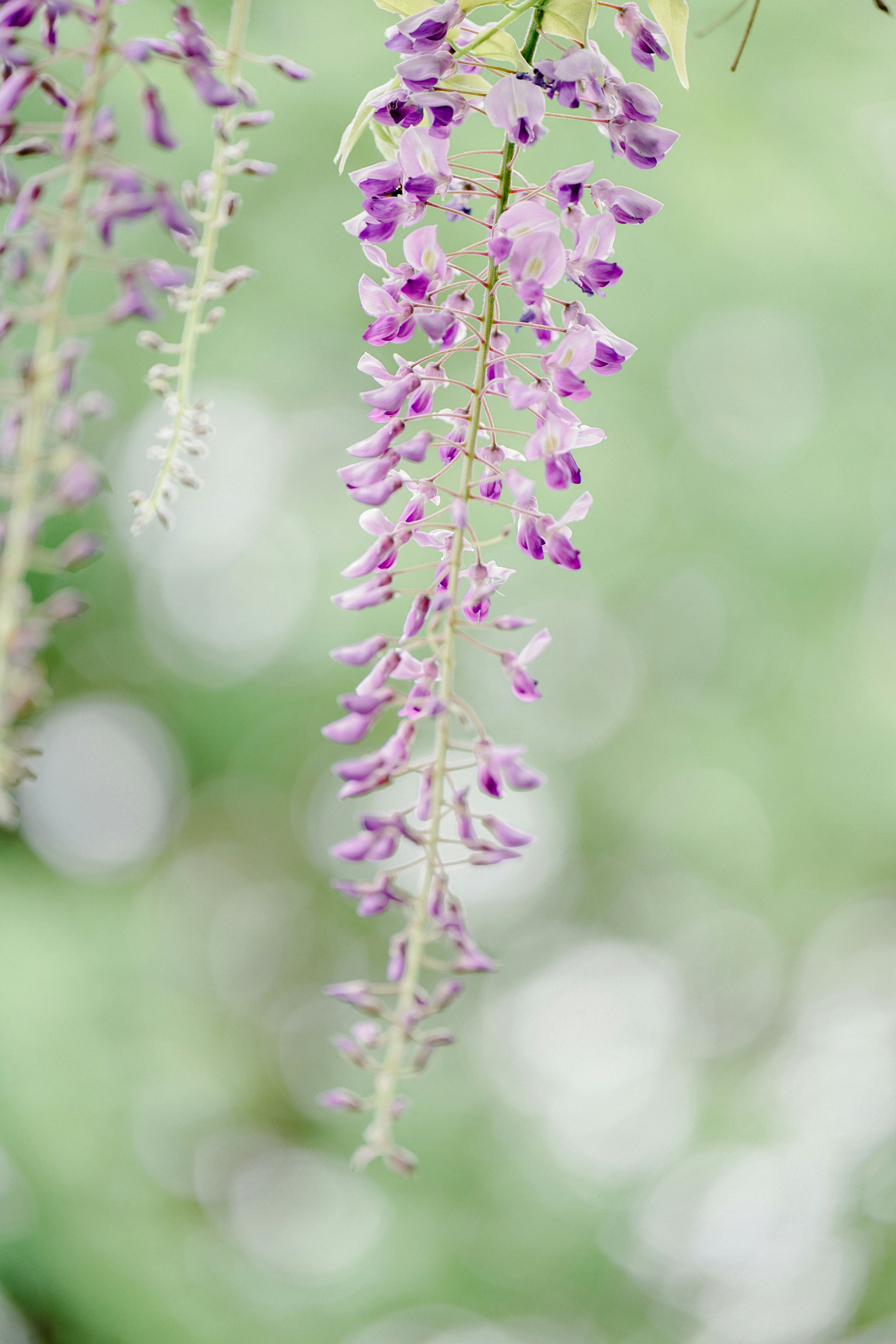 Photo by tokyokohaku