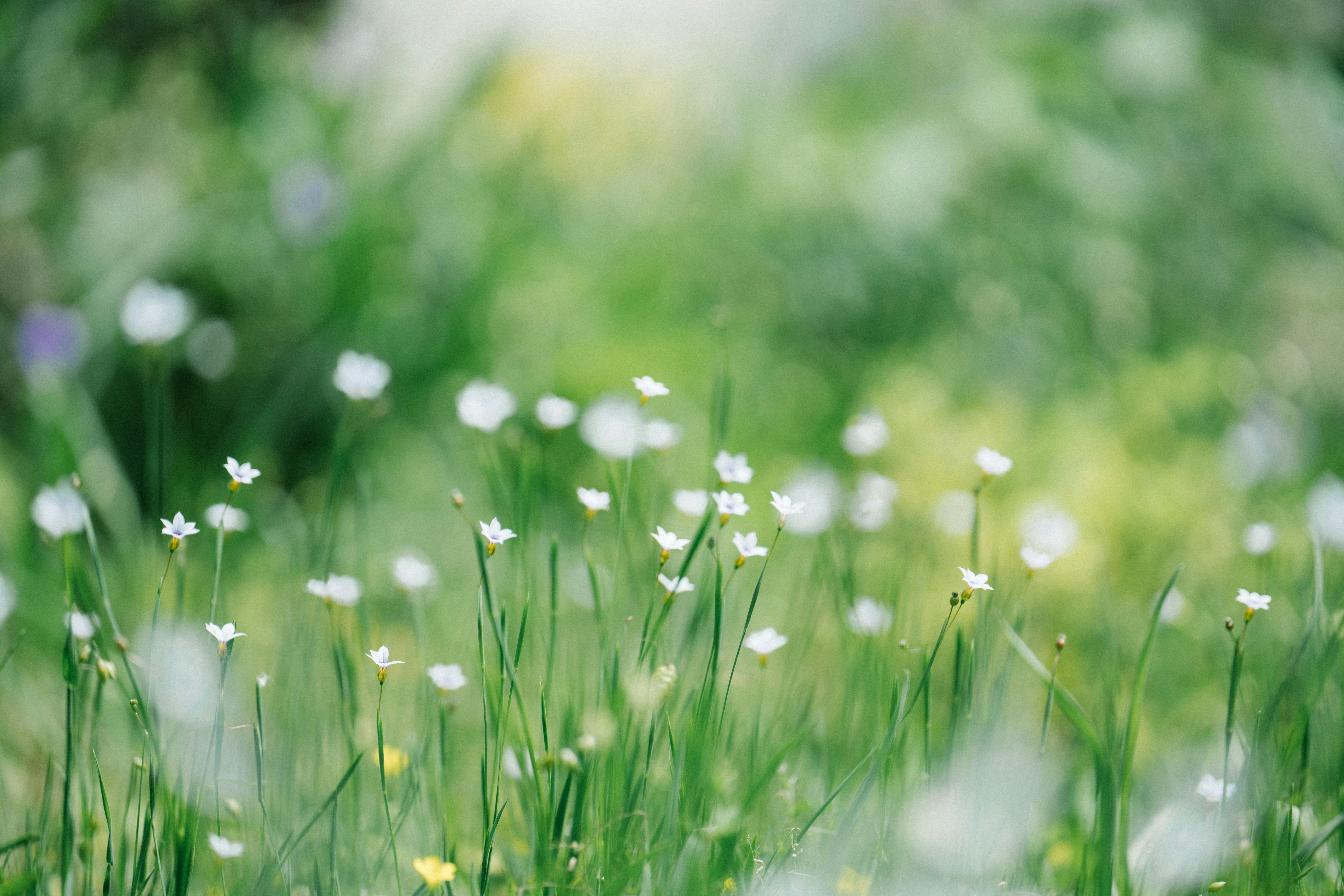 Photo by tokyokohaku