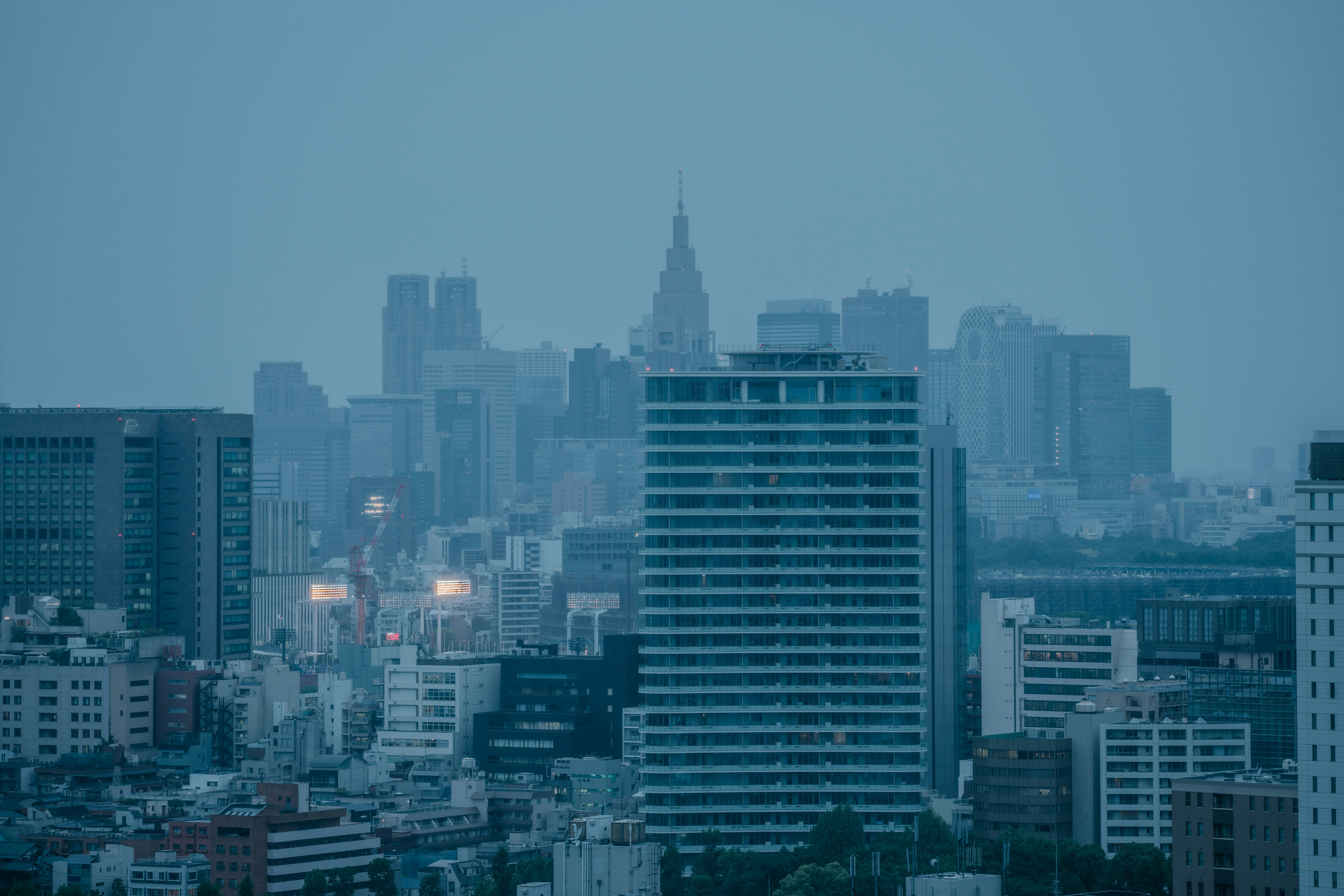 Photo by tokyokohaku