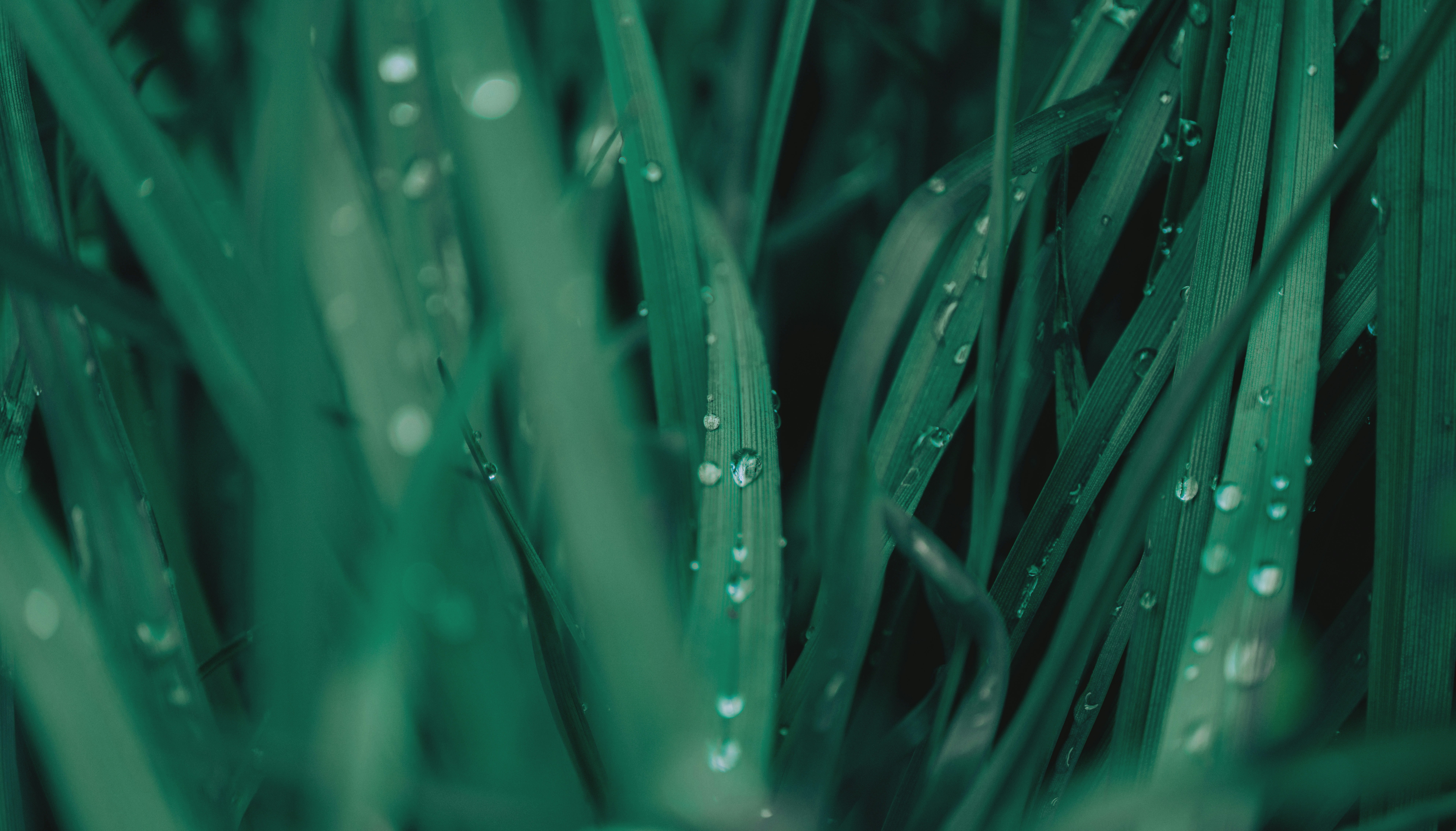 Photo by tokyokohaku