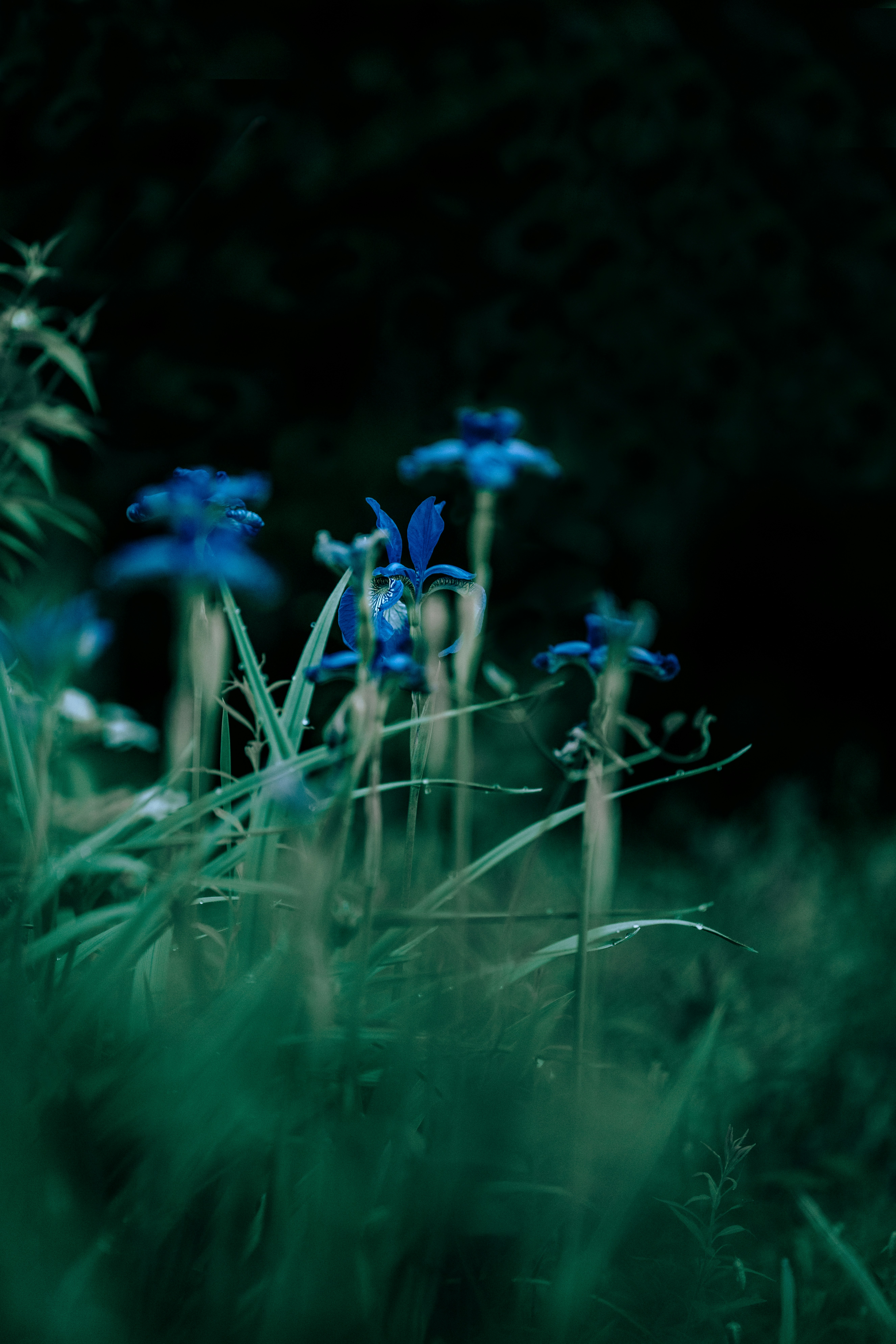 Photo by tokyokohaku