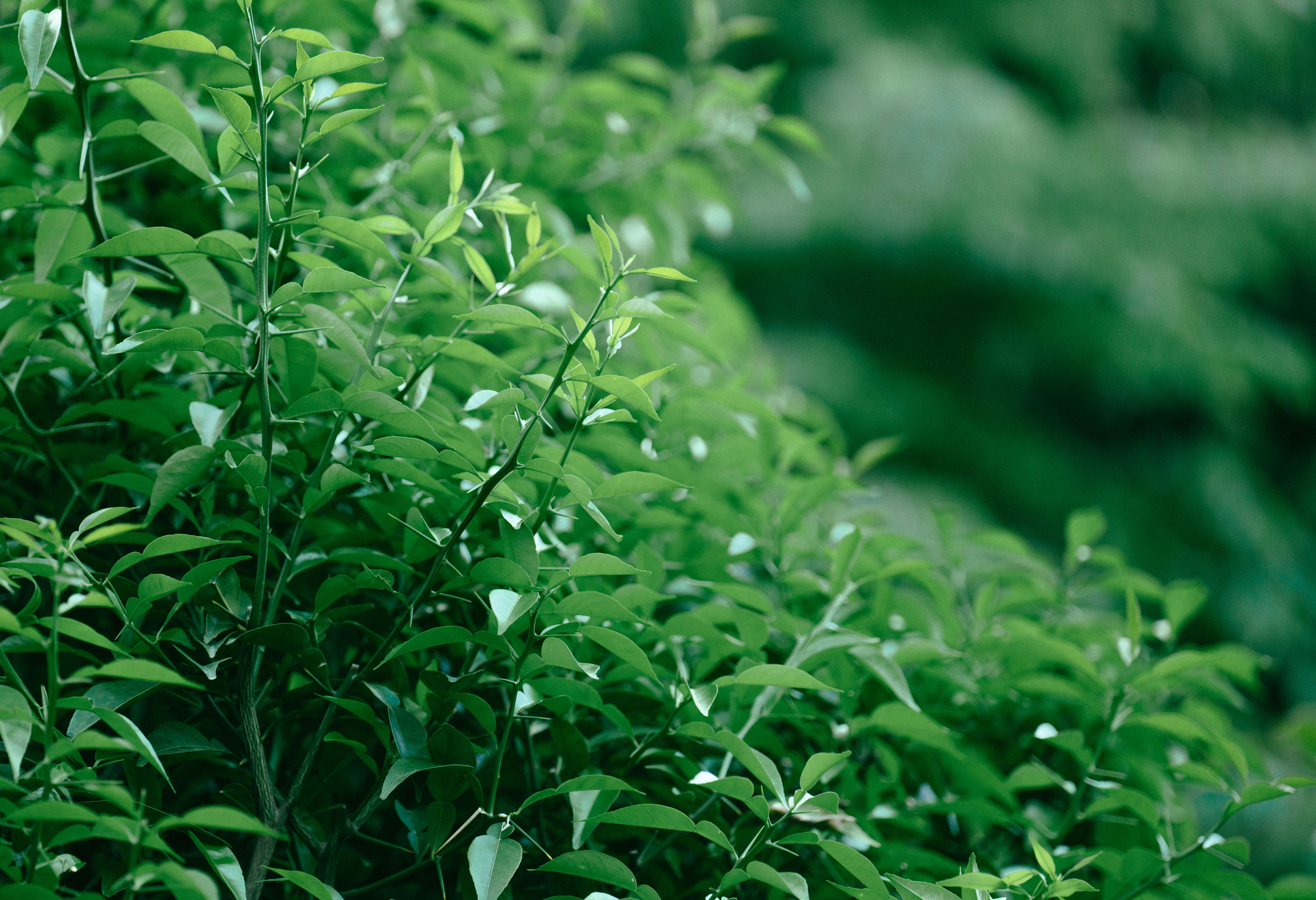 Photo by tokyokohaku