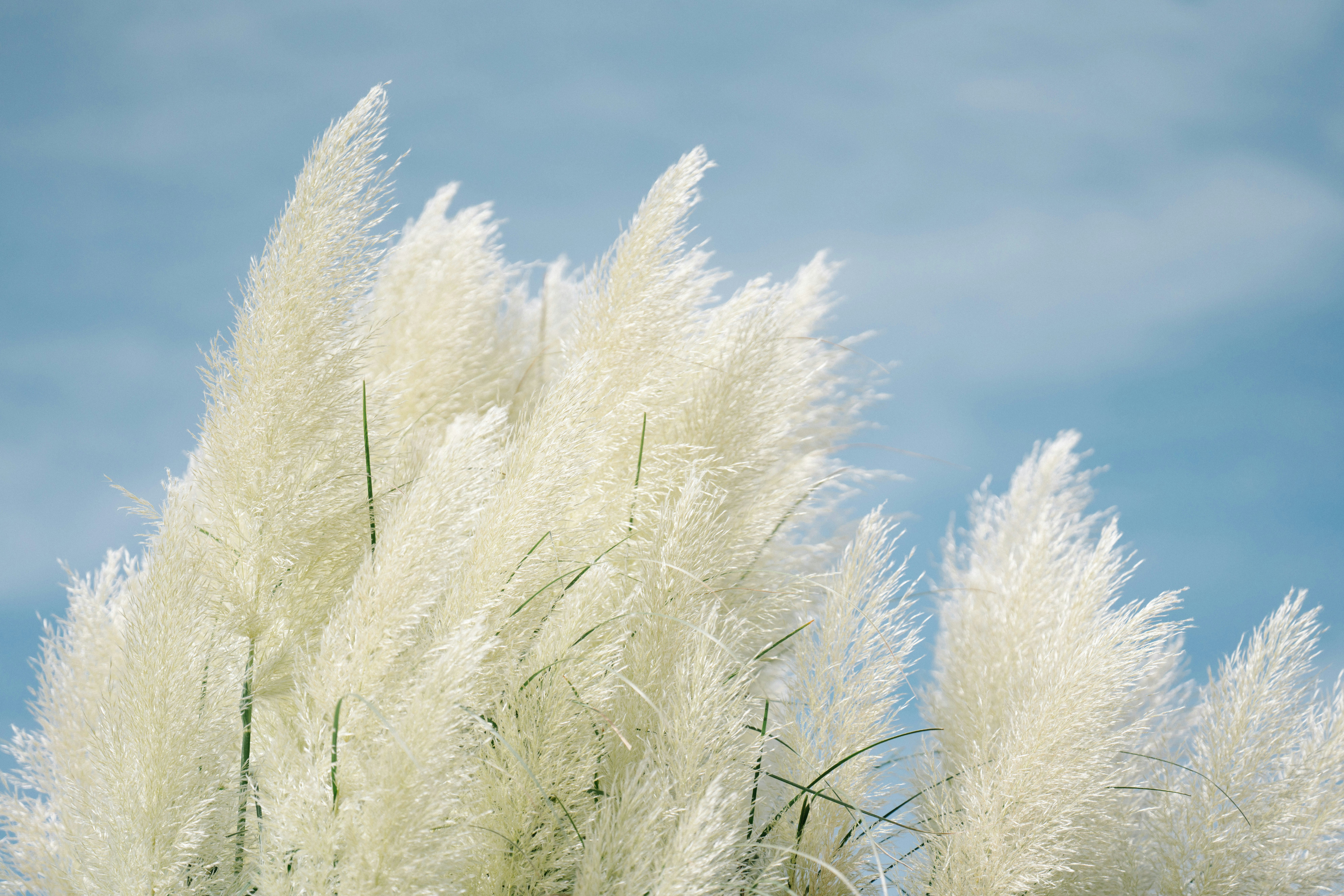 Photo by tokyokohaku