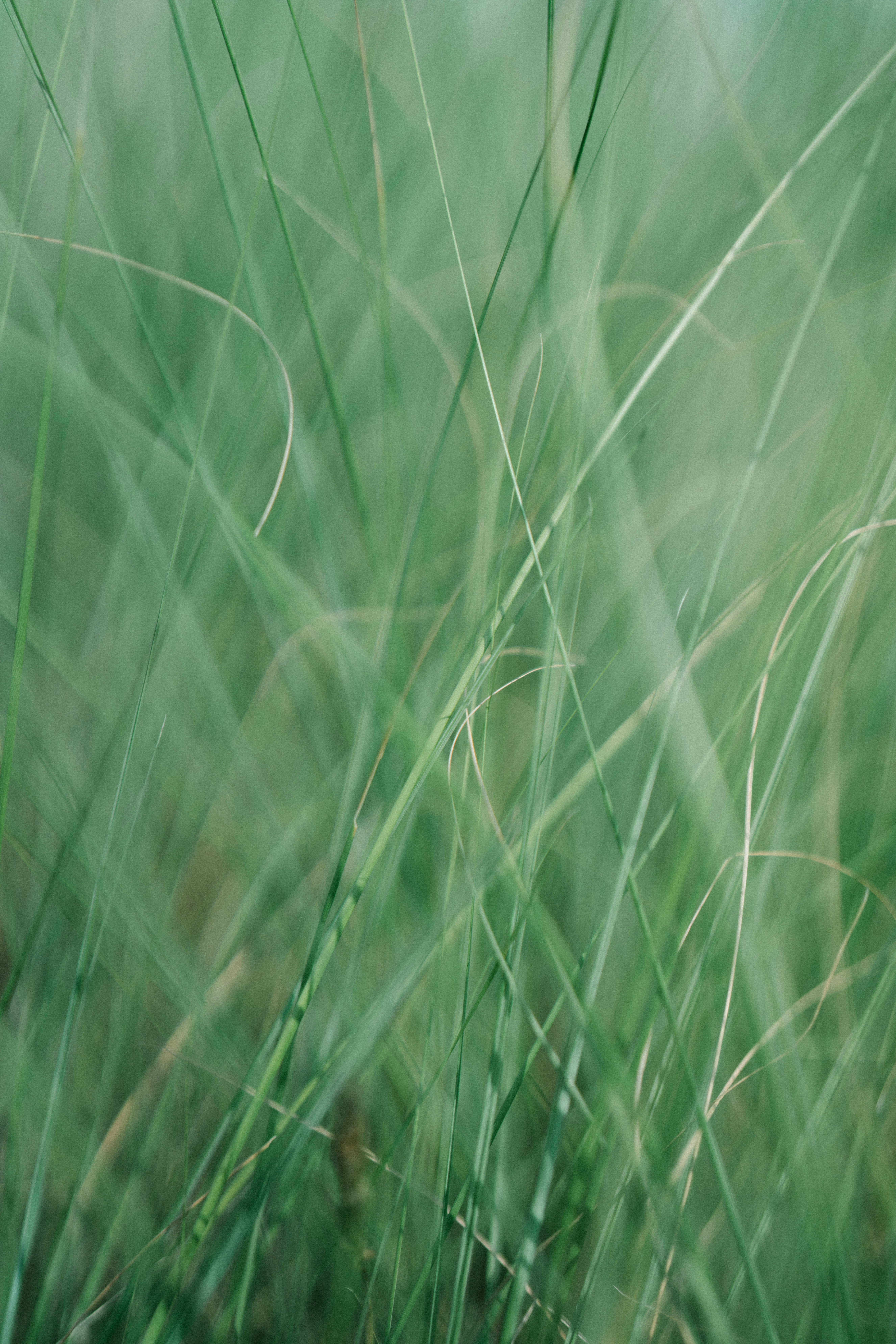 Photo by tokyokohaku