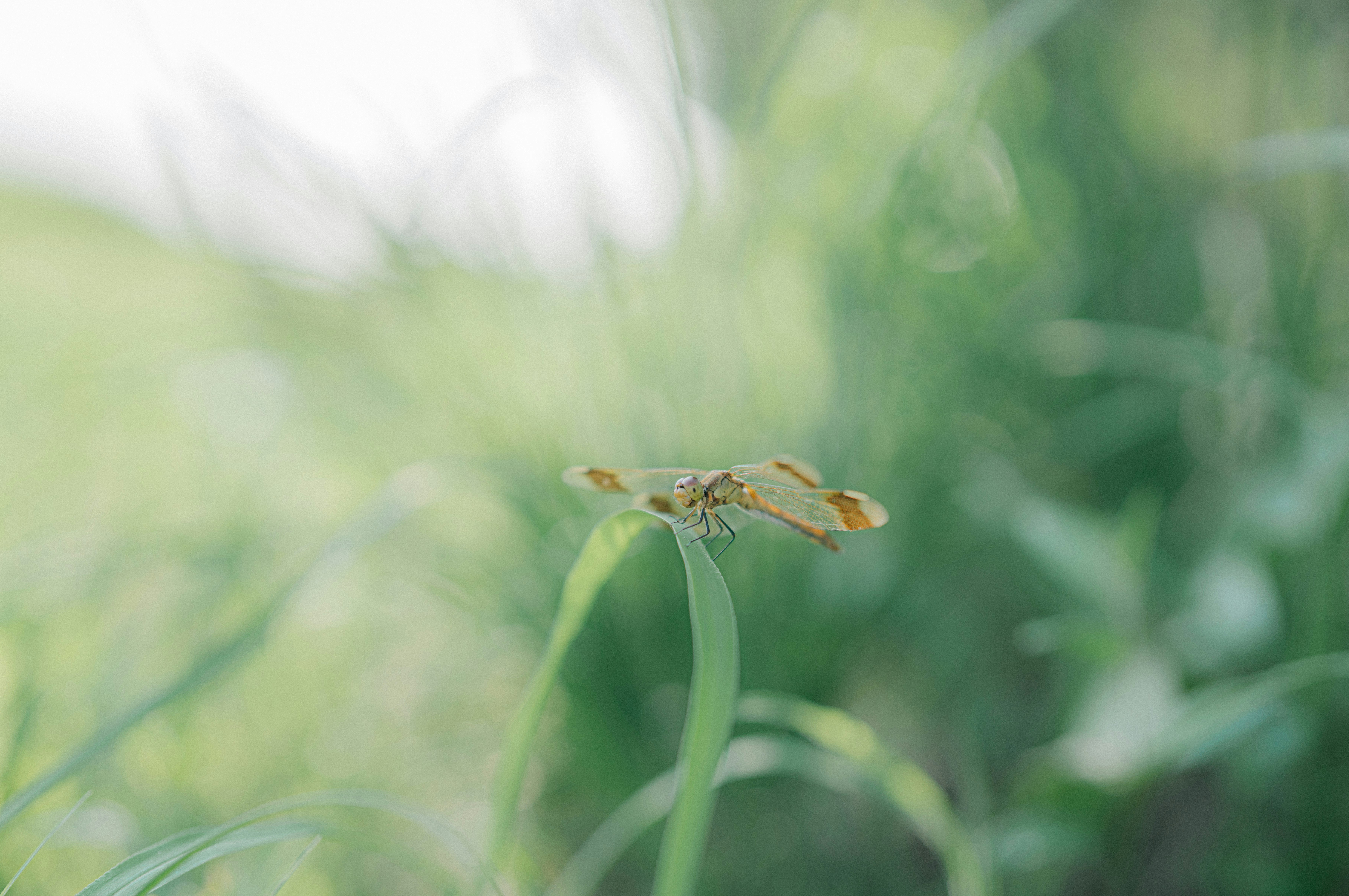 Photo by tokyokohaku