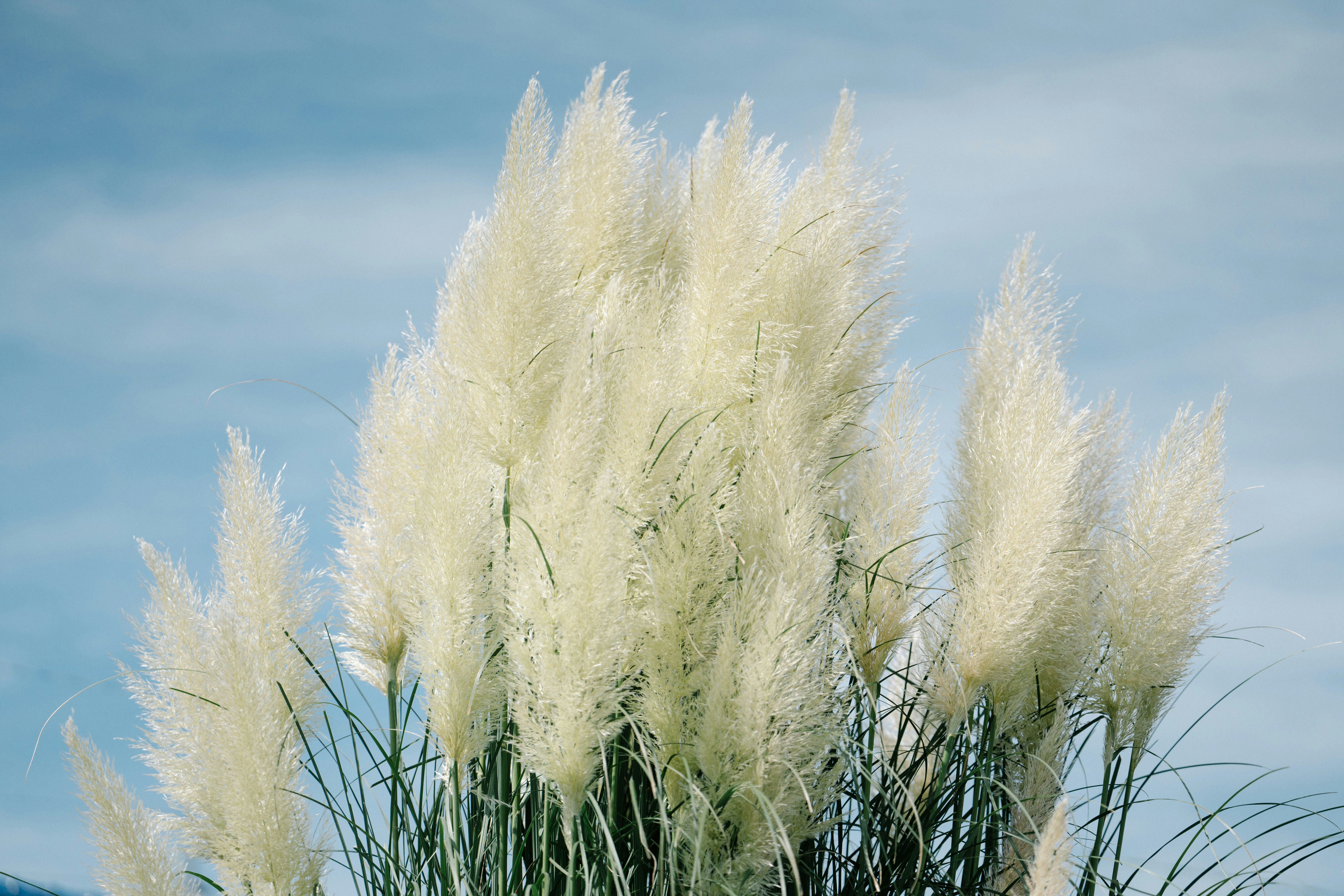 Photo by tokyokohaku