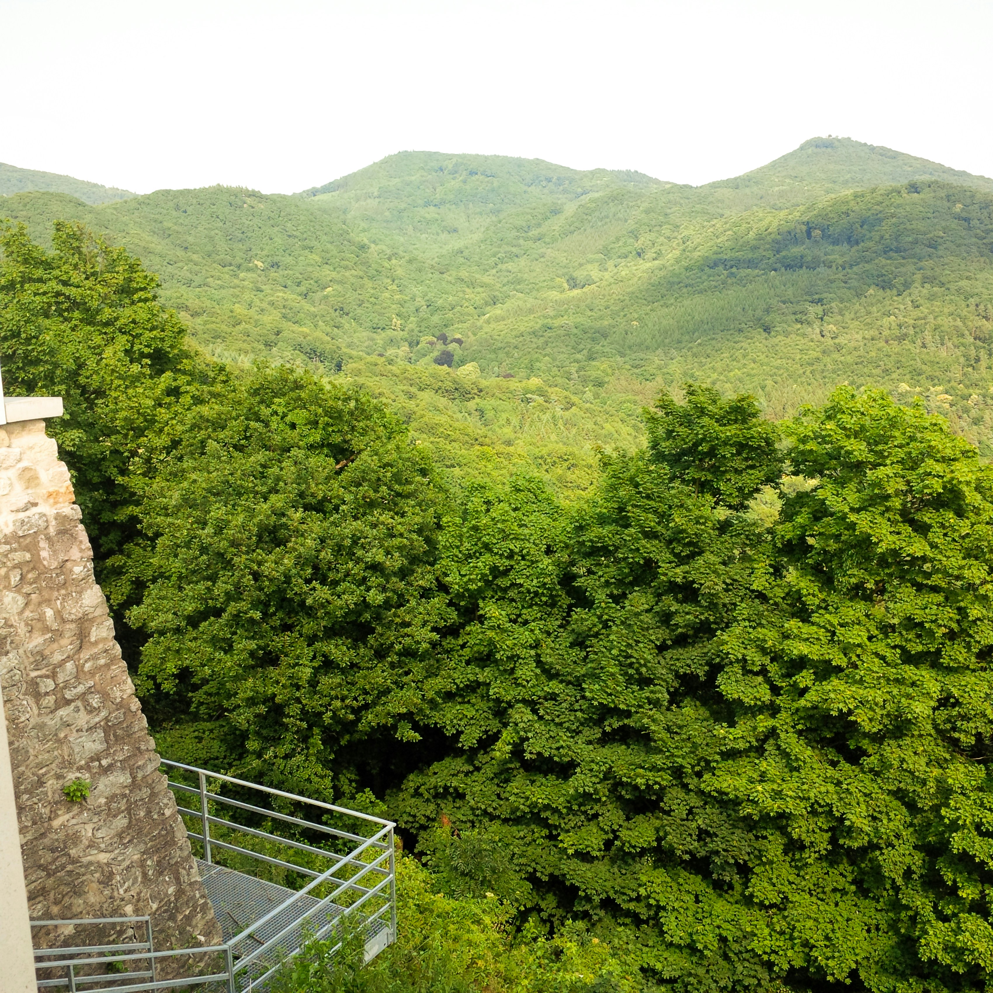 Colline Forestière Photos | Télécharger des images gratuites sur Unsplash