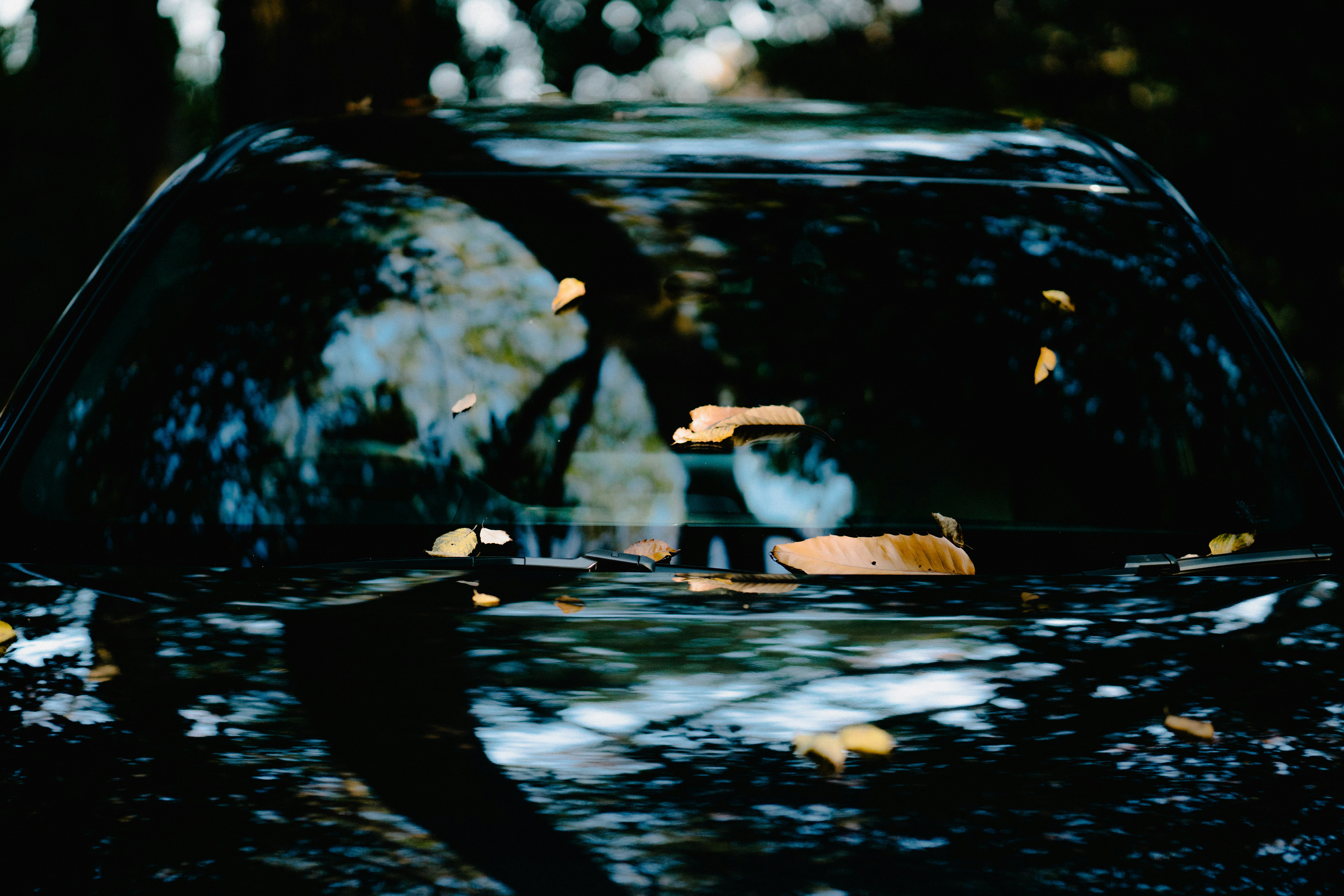 Photo by tokyokohaku