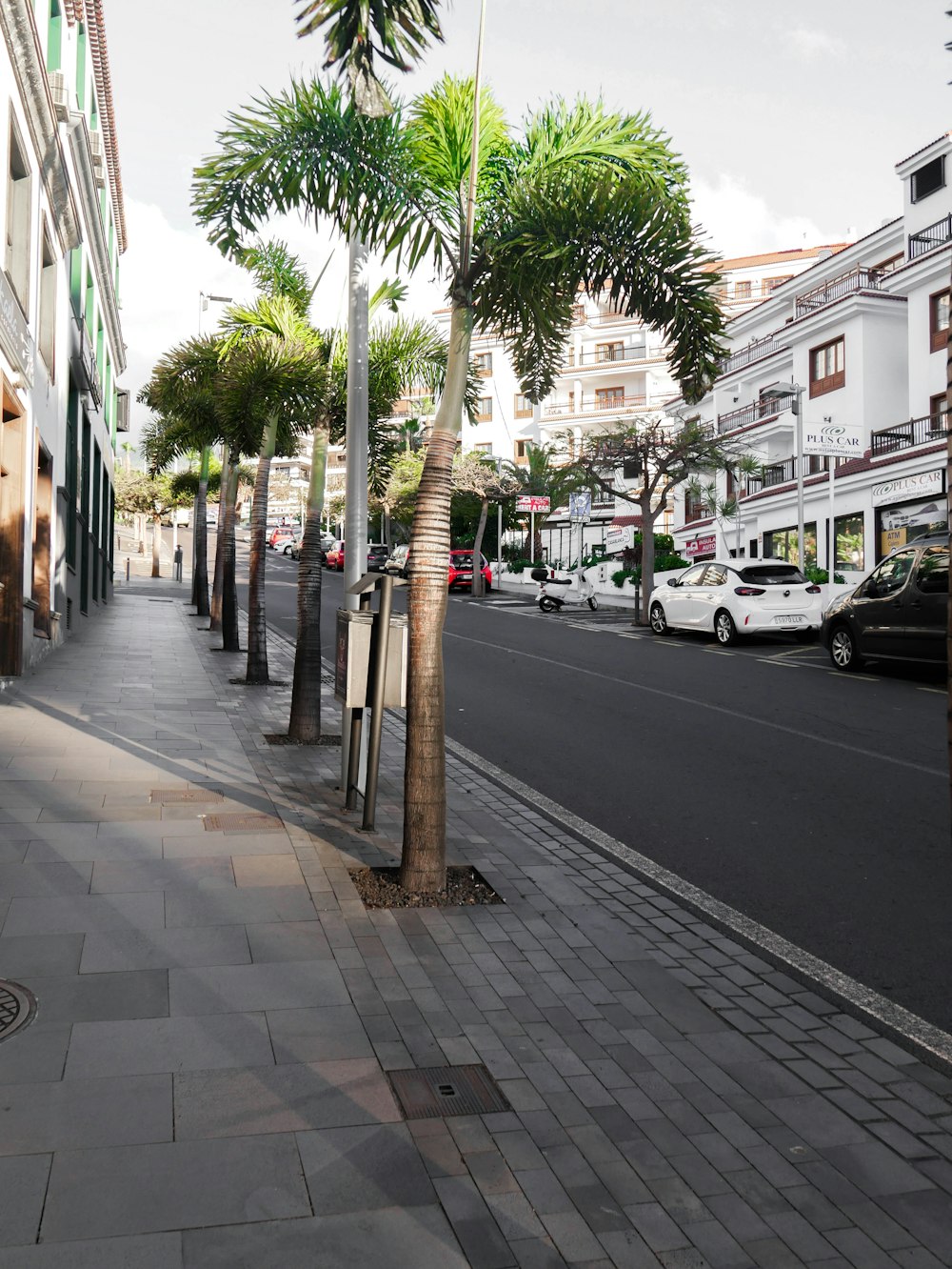 a city street lined with palm trees and parked cars