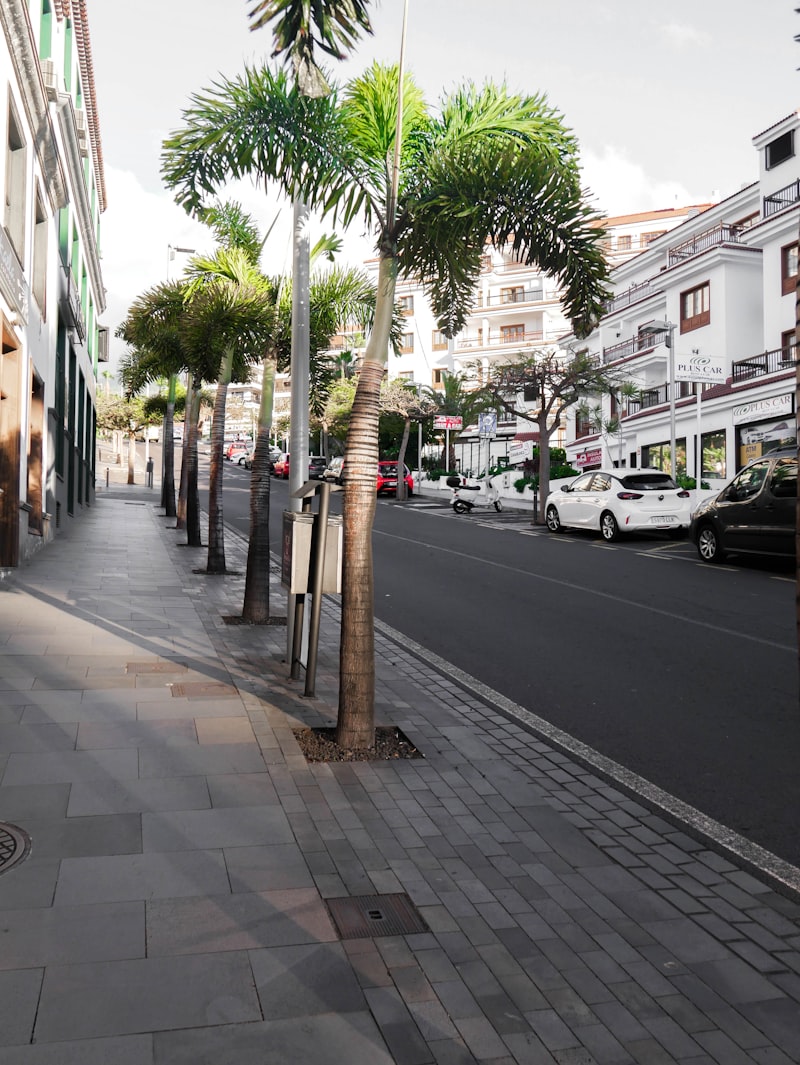 Beliebige Straße auf Teneriffa
