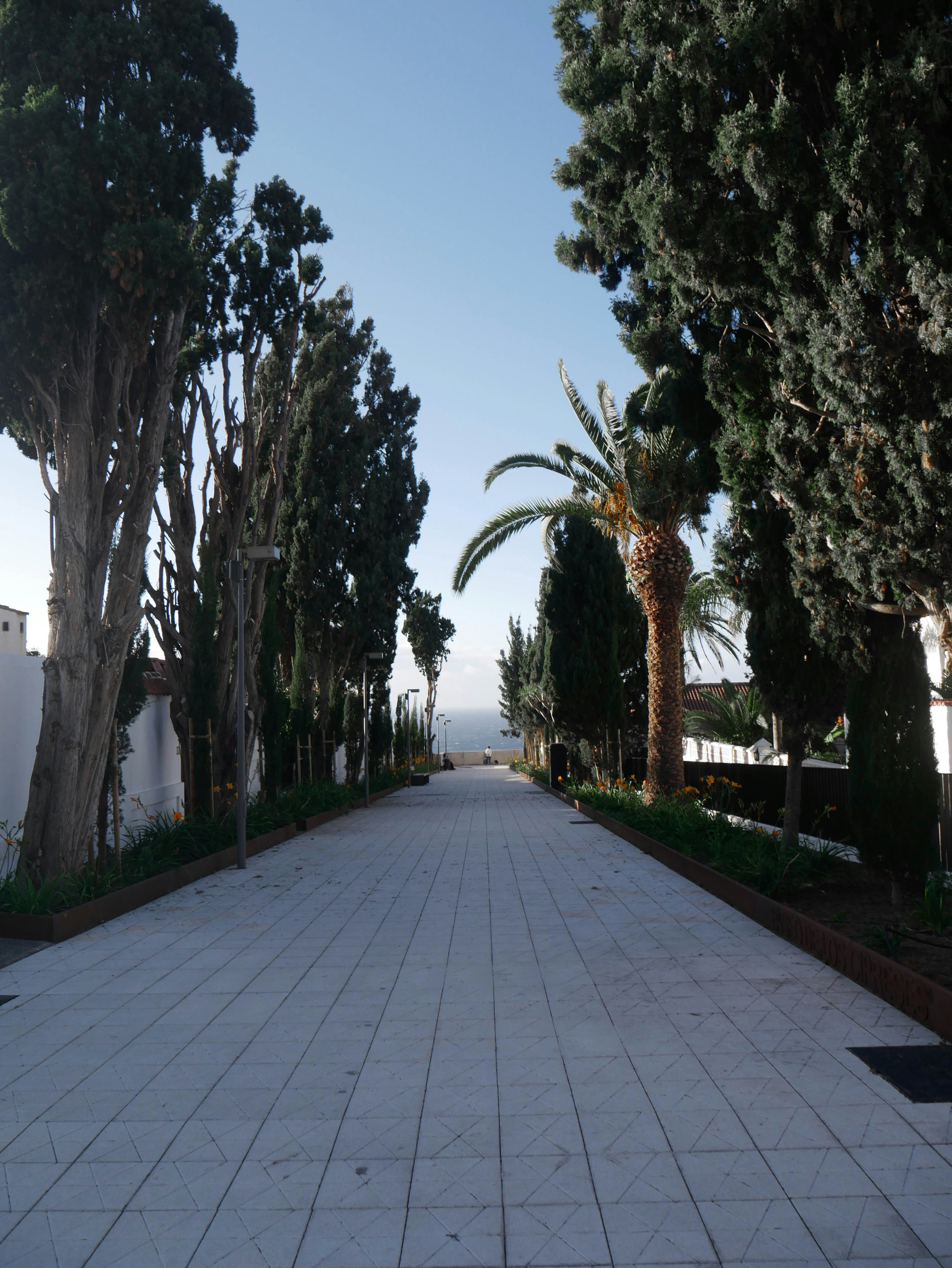 Photo by estoniaincorporated