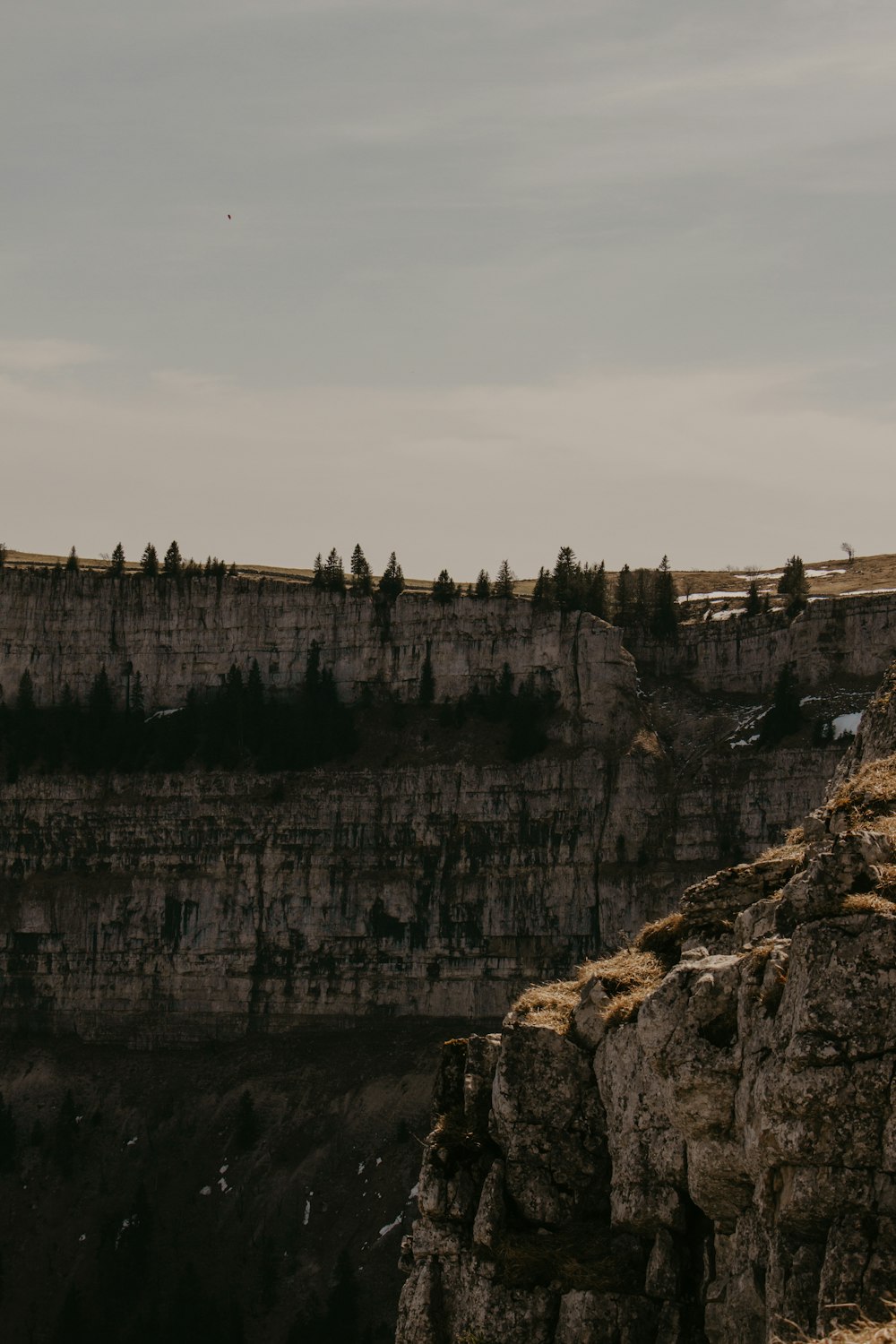 A man standing on top of a cliff next to a forest photo – Free Schweiz  Image on Unsplash