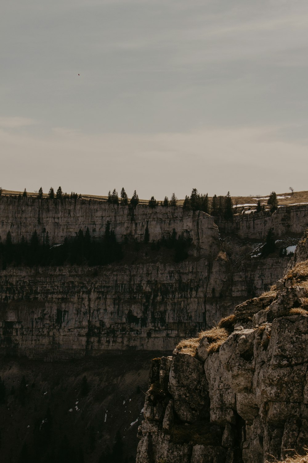 a man standing on top of a cliff next to a forest