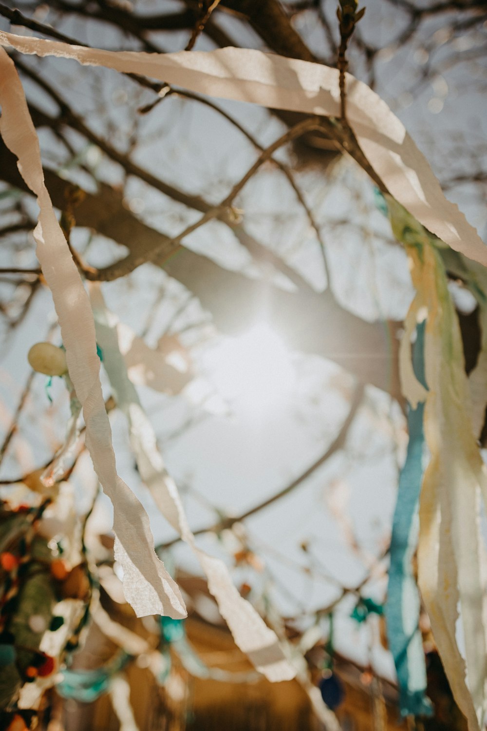 the sun is shining through the branches of a tree