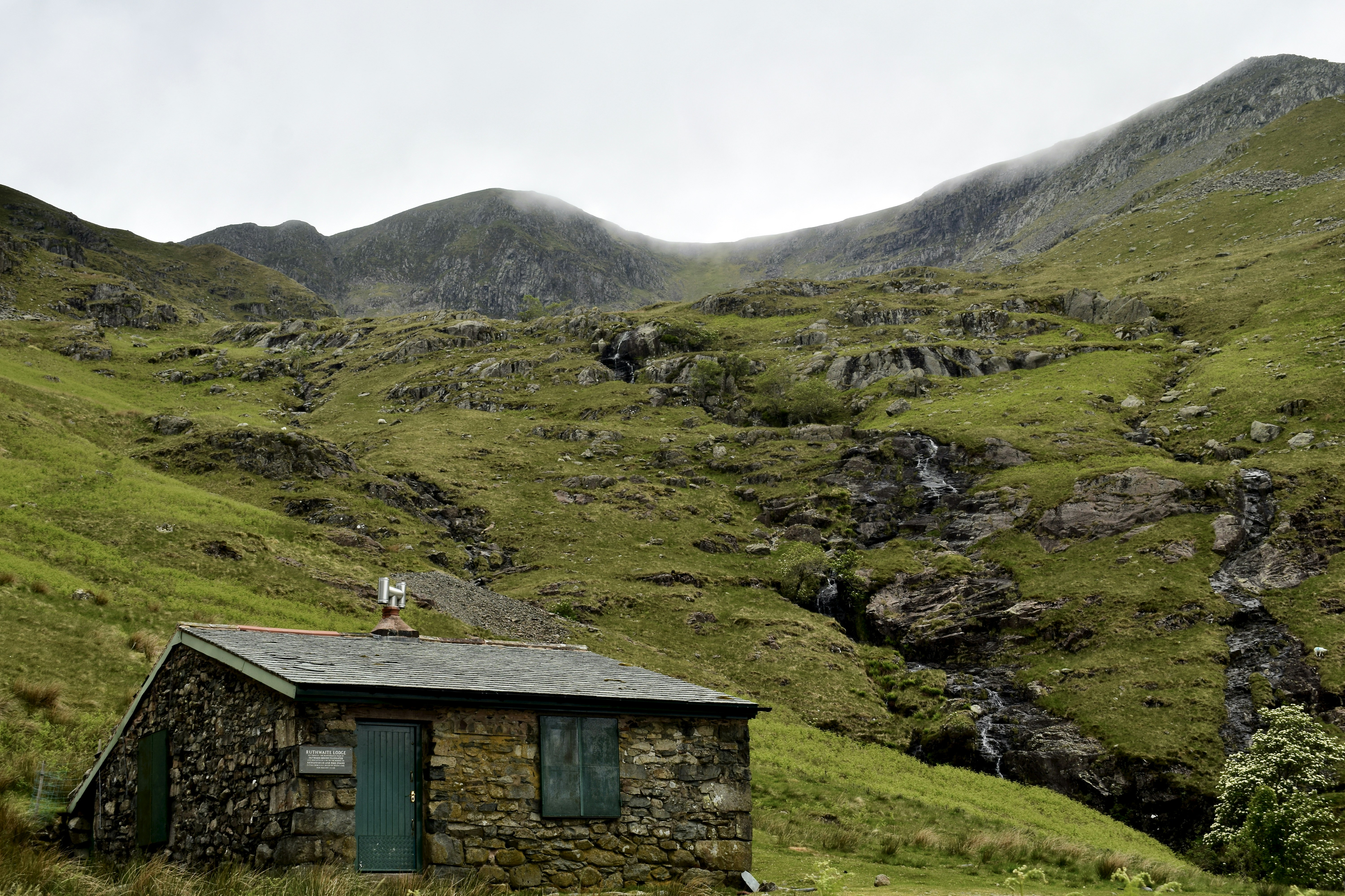 Photo by douglasgausi