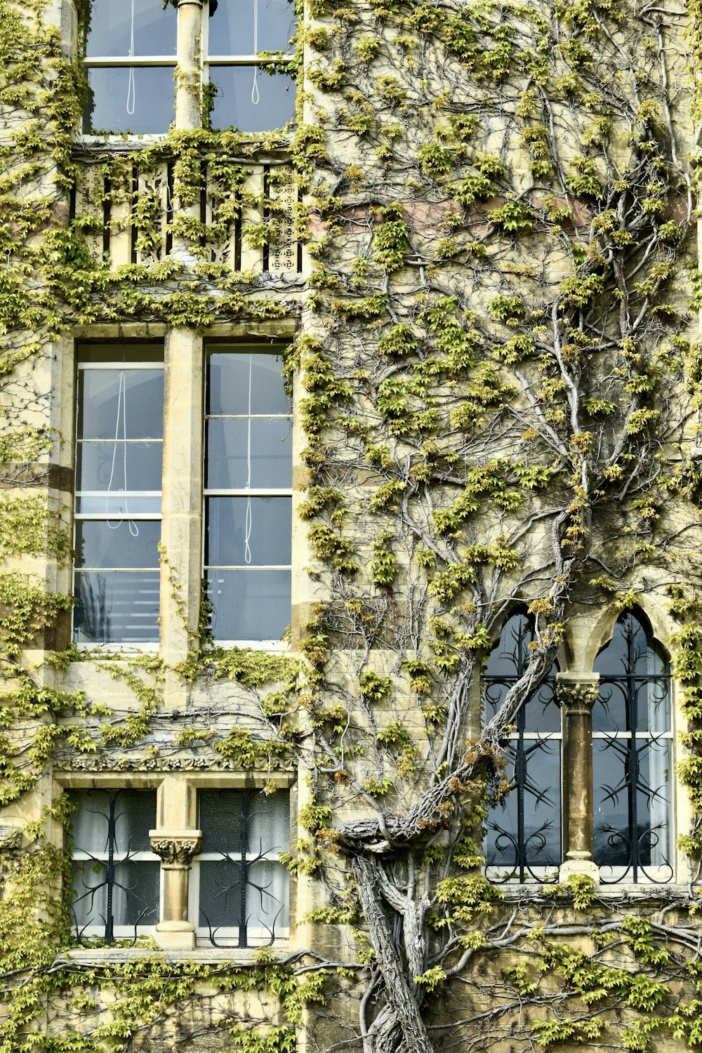 an old building covered in vines and vines