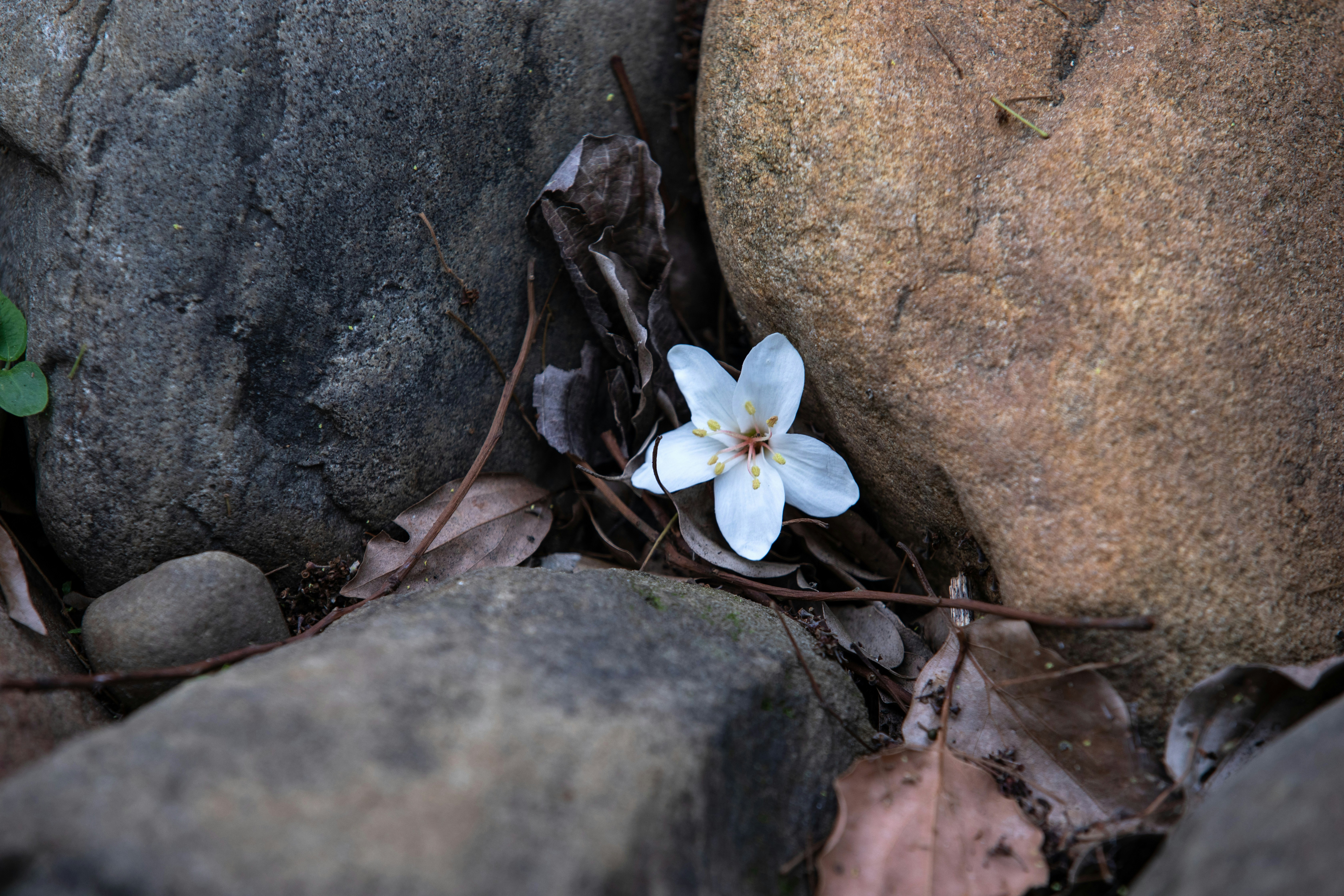 Photo by color0911