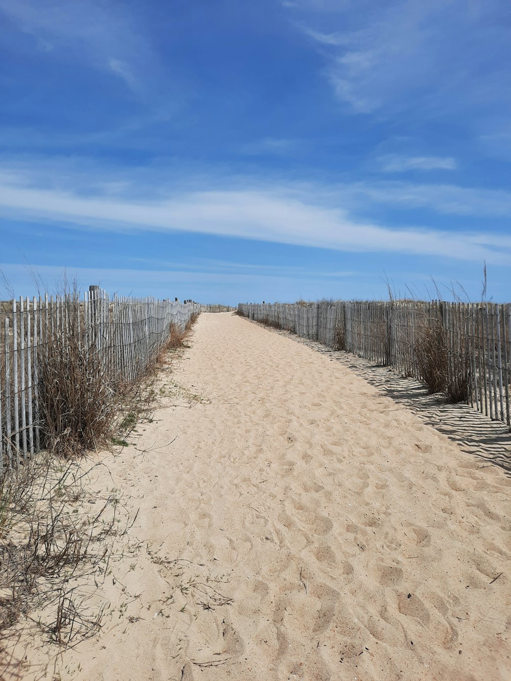 a sandy beach with a fence and bushes
