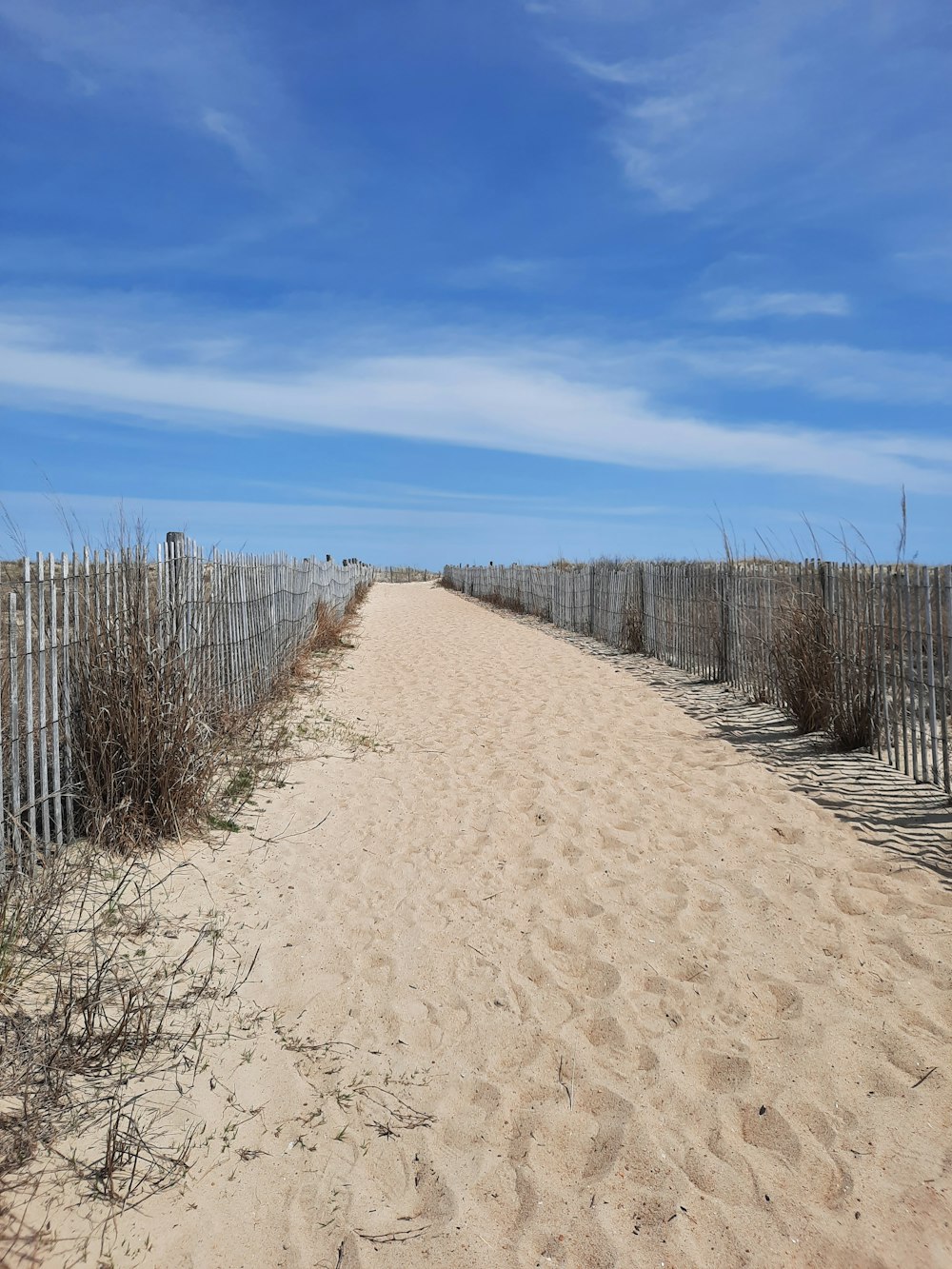 una spiaggia sabbiosa con una recinzione e cespugli