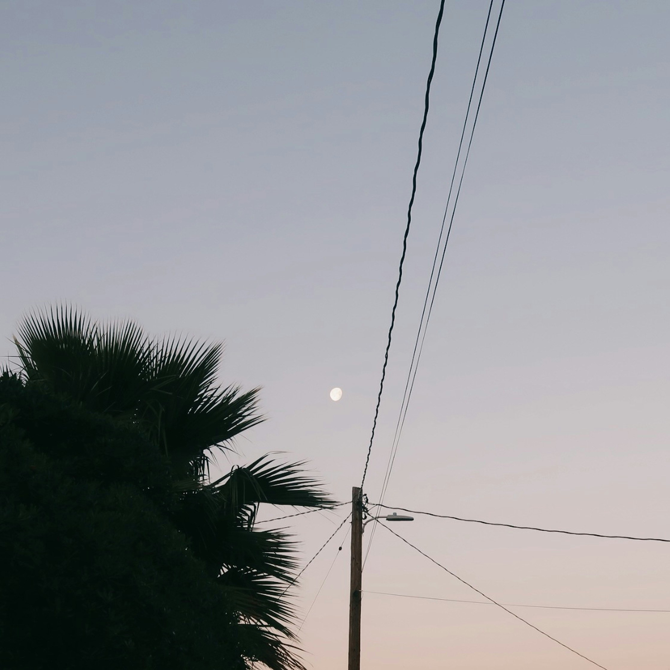 Photo by lidialongorio