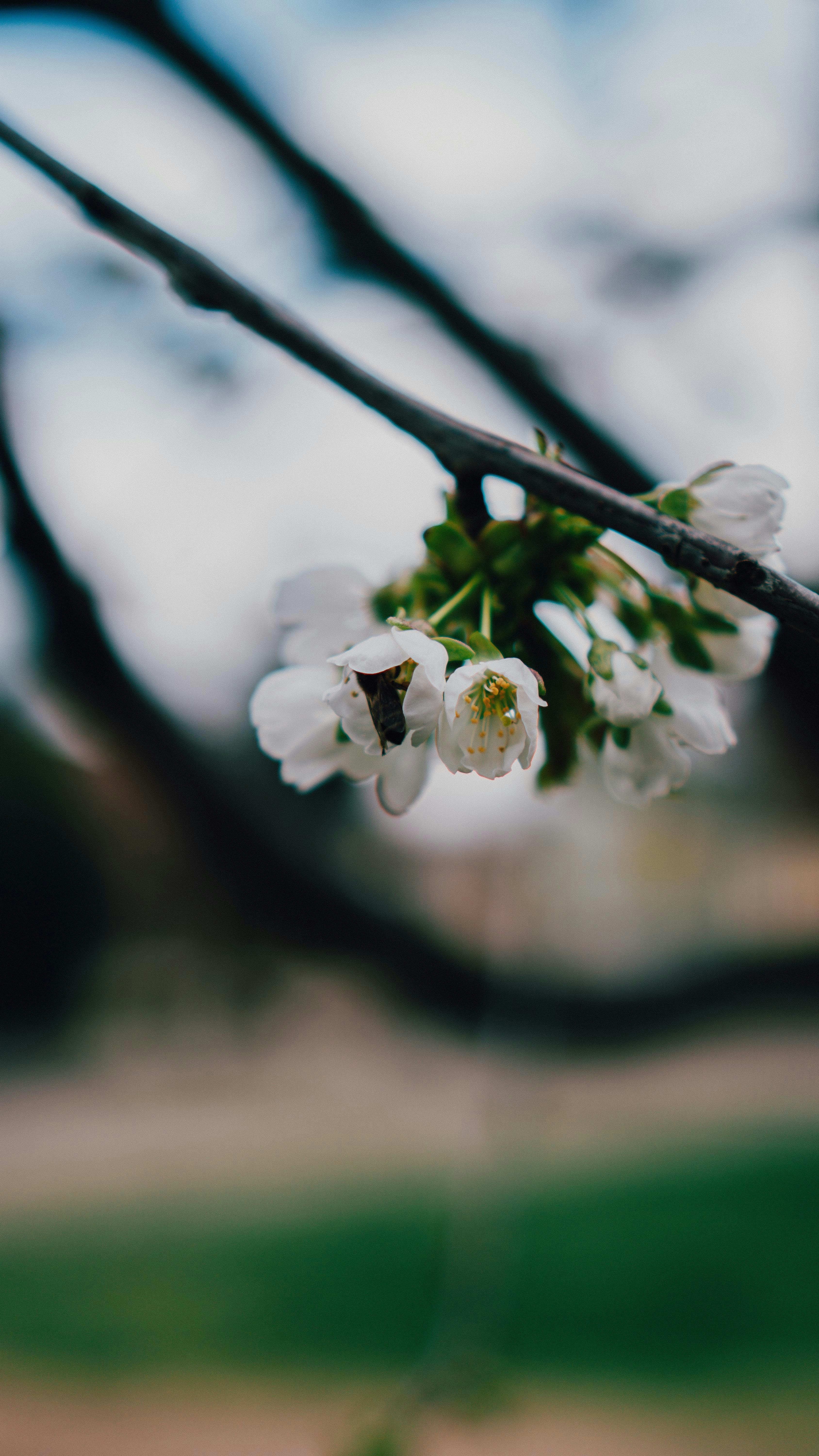 Photo by luisgherasim