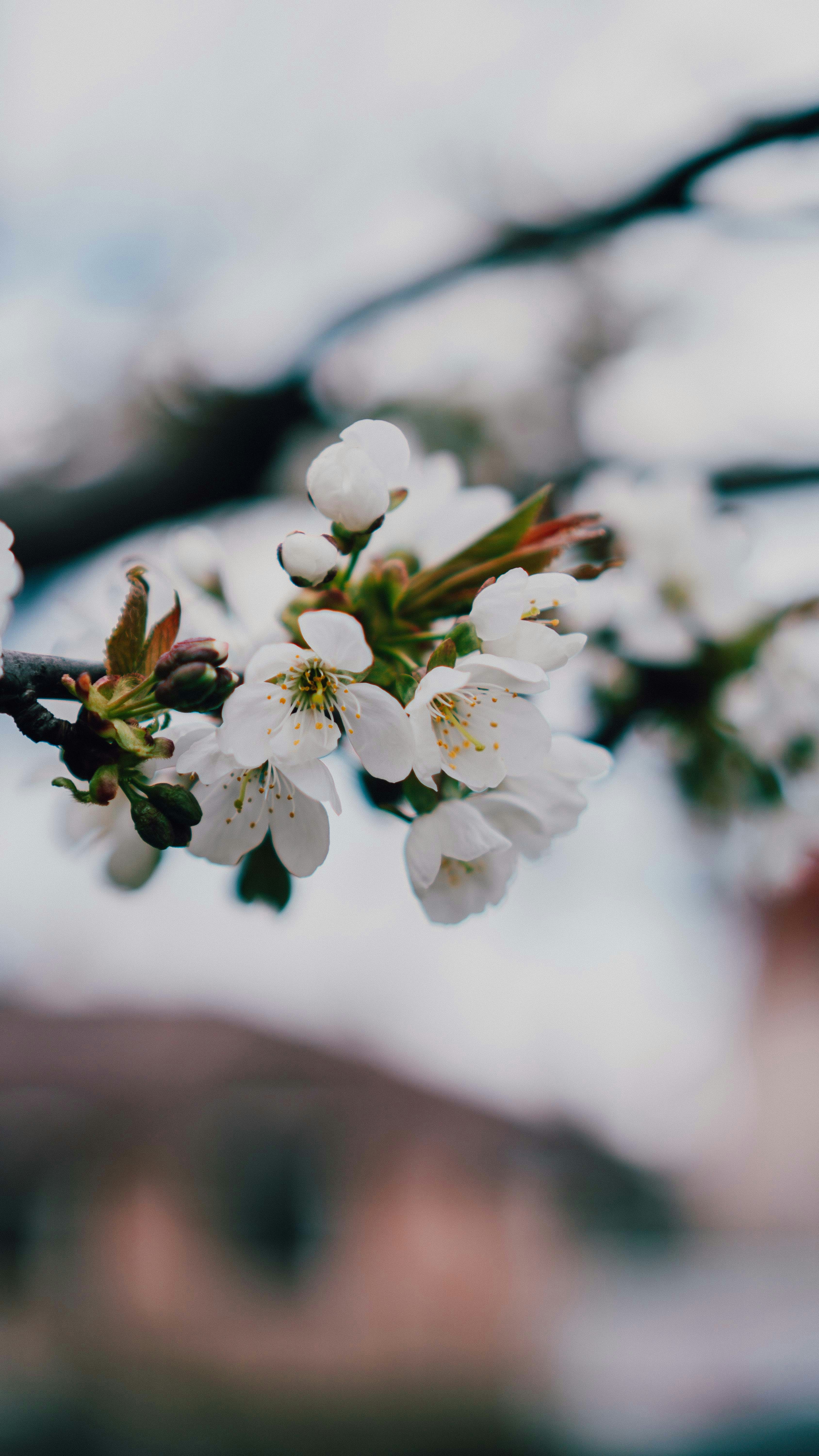 Photo by luisgherasim