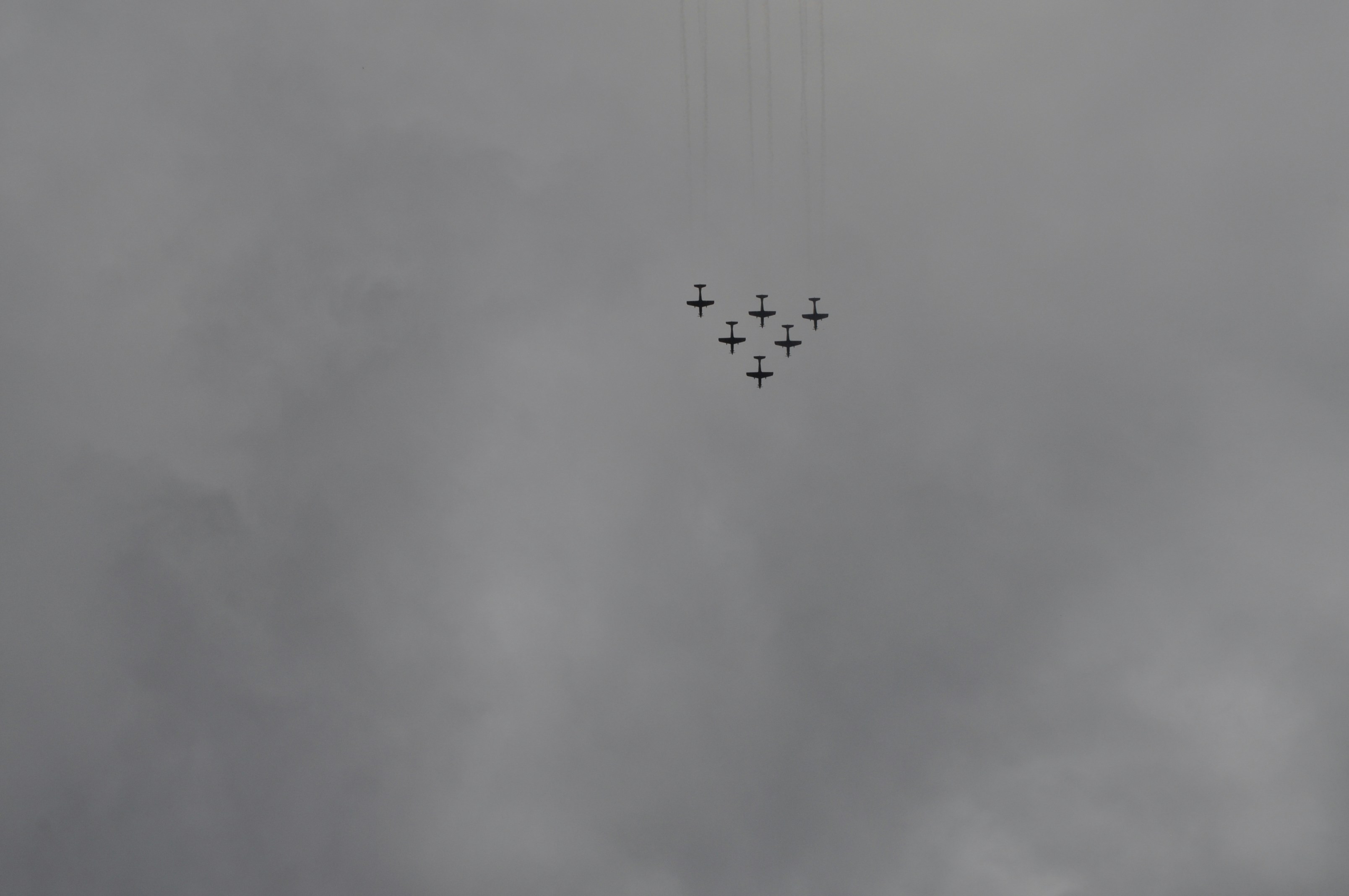 Understanding VQ-VAE: Mechanisms Behind Learning Discrete Representations