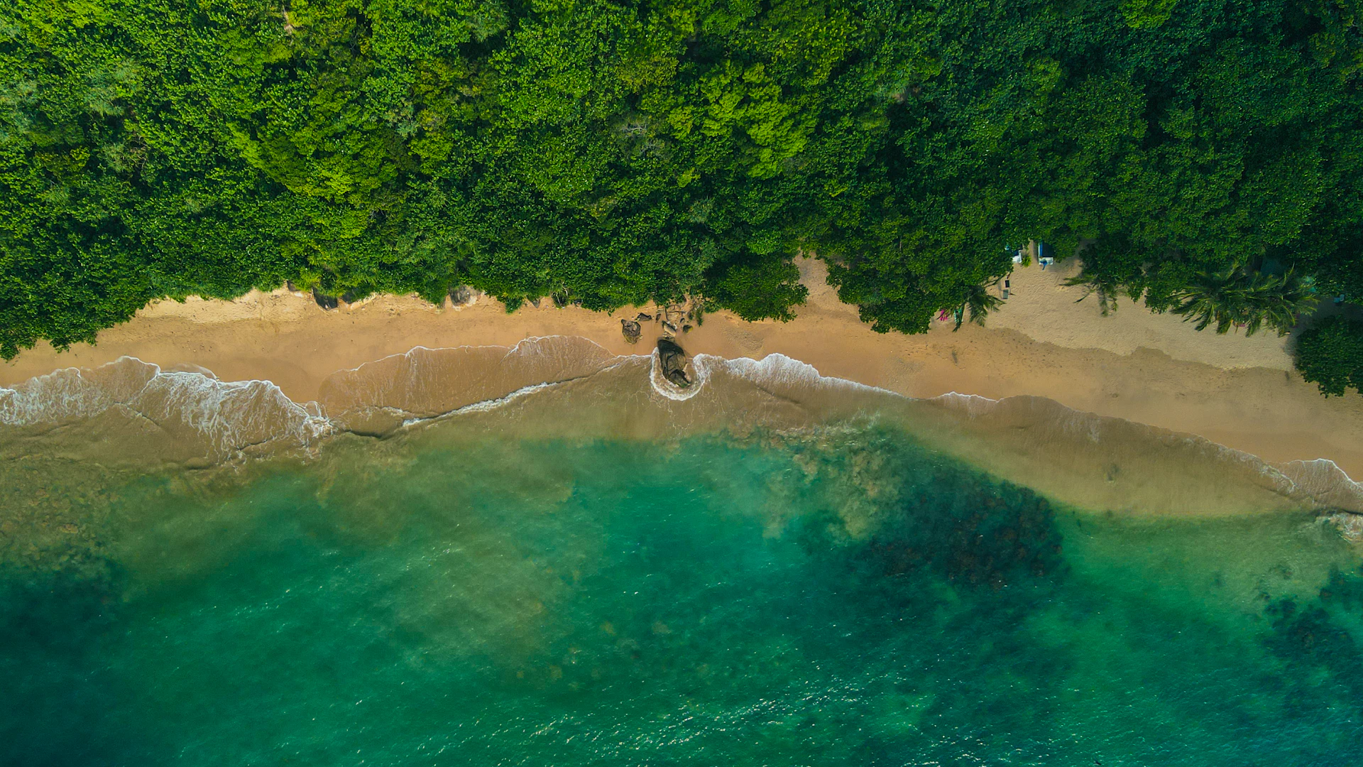 Aerial view of Unawatuna beach and jungle
