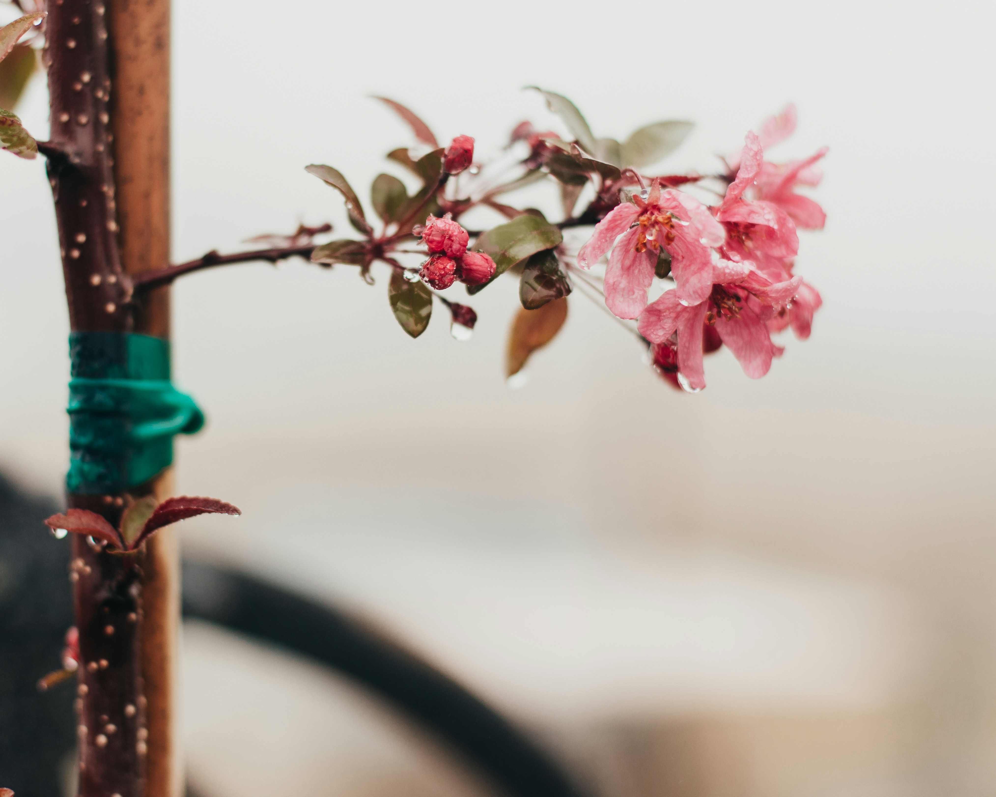 Photo by sixteenmilesout