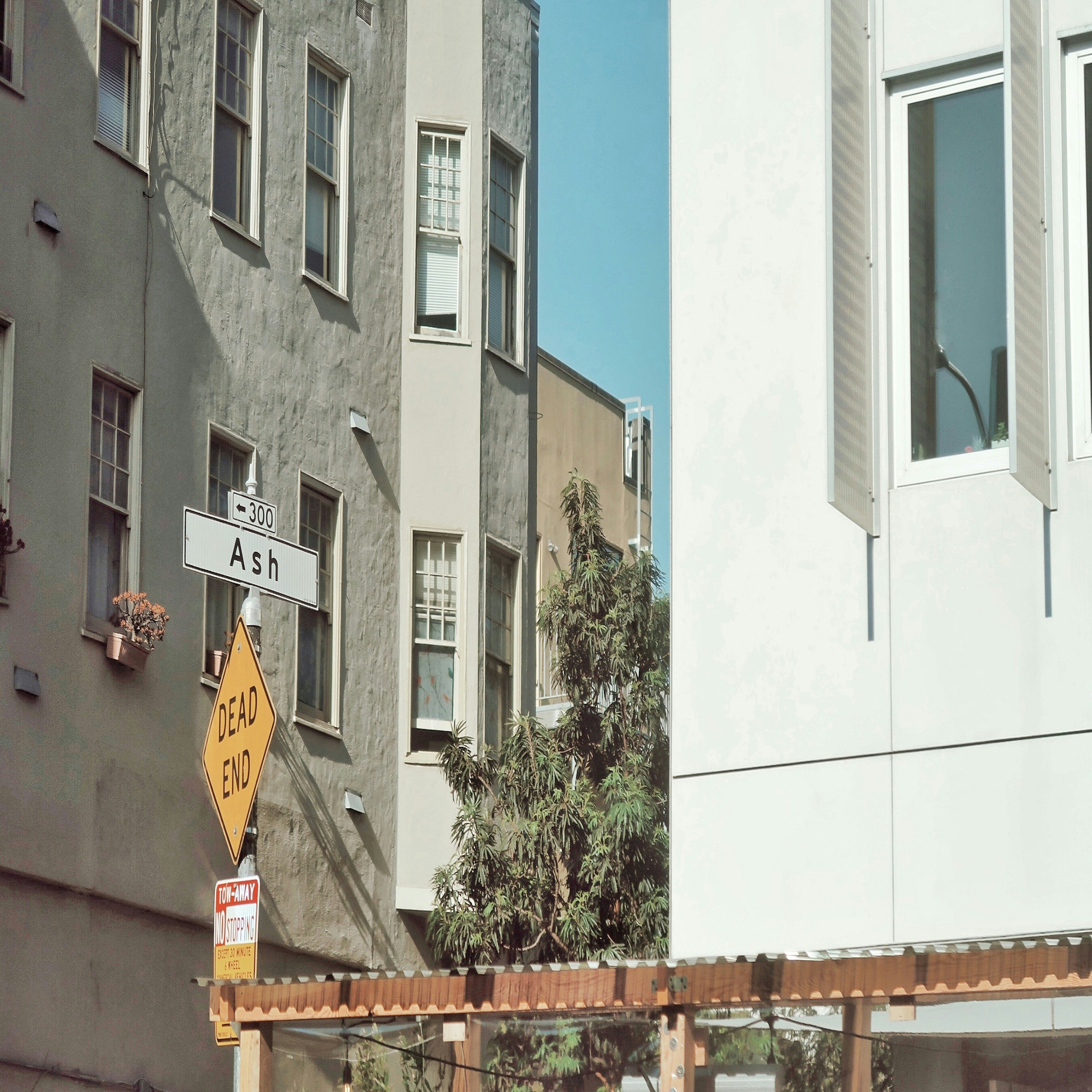 Photo by lidialongorio