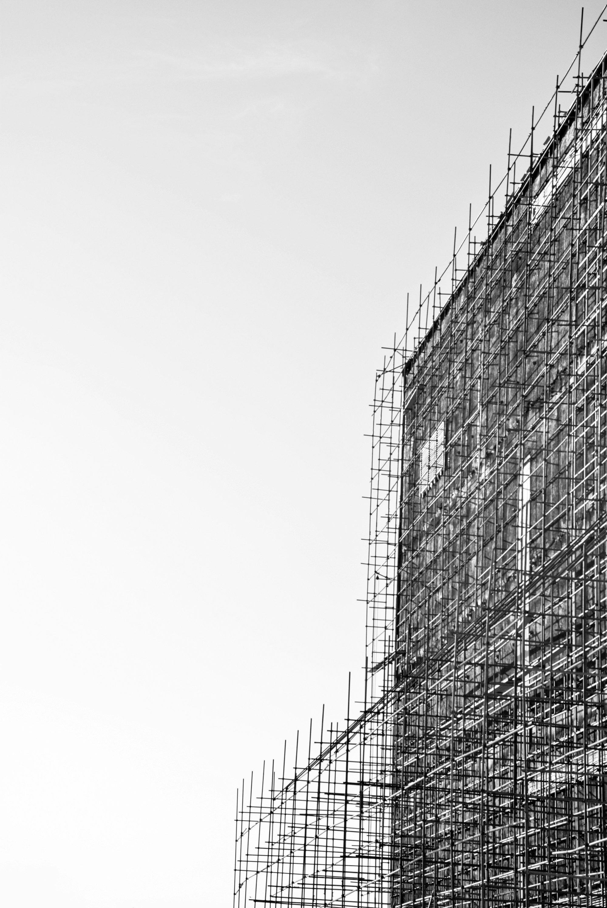 Photo by fatemeh1401