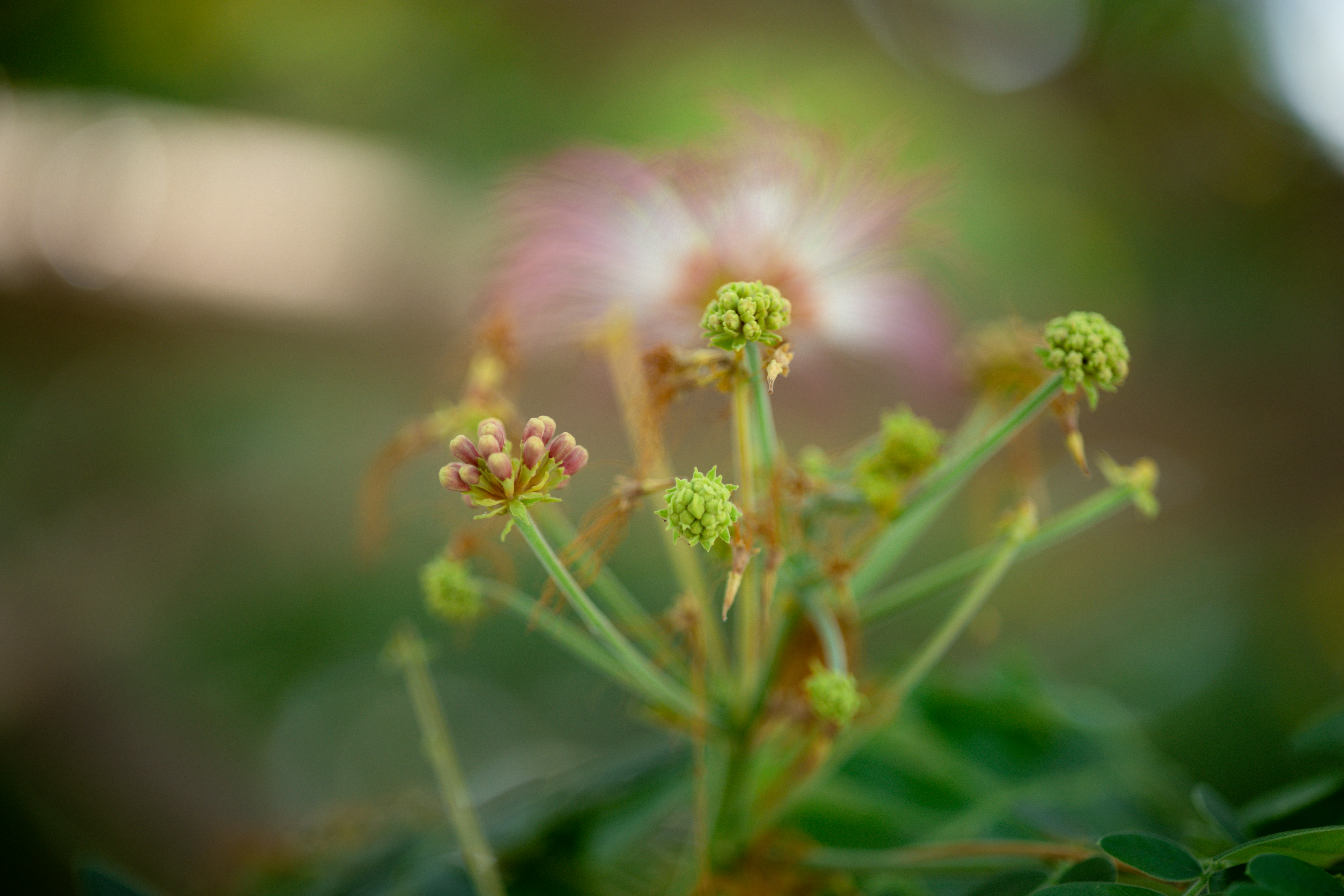 Photo by veecee_photography