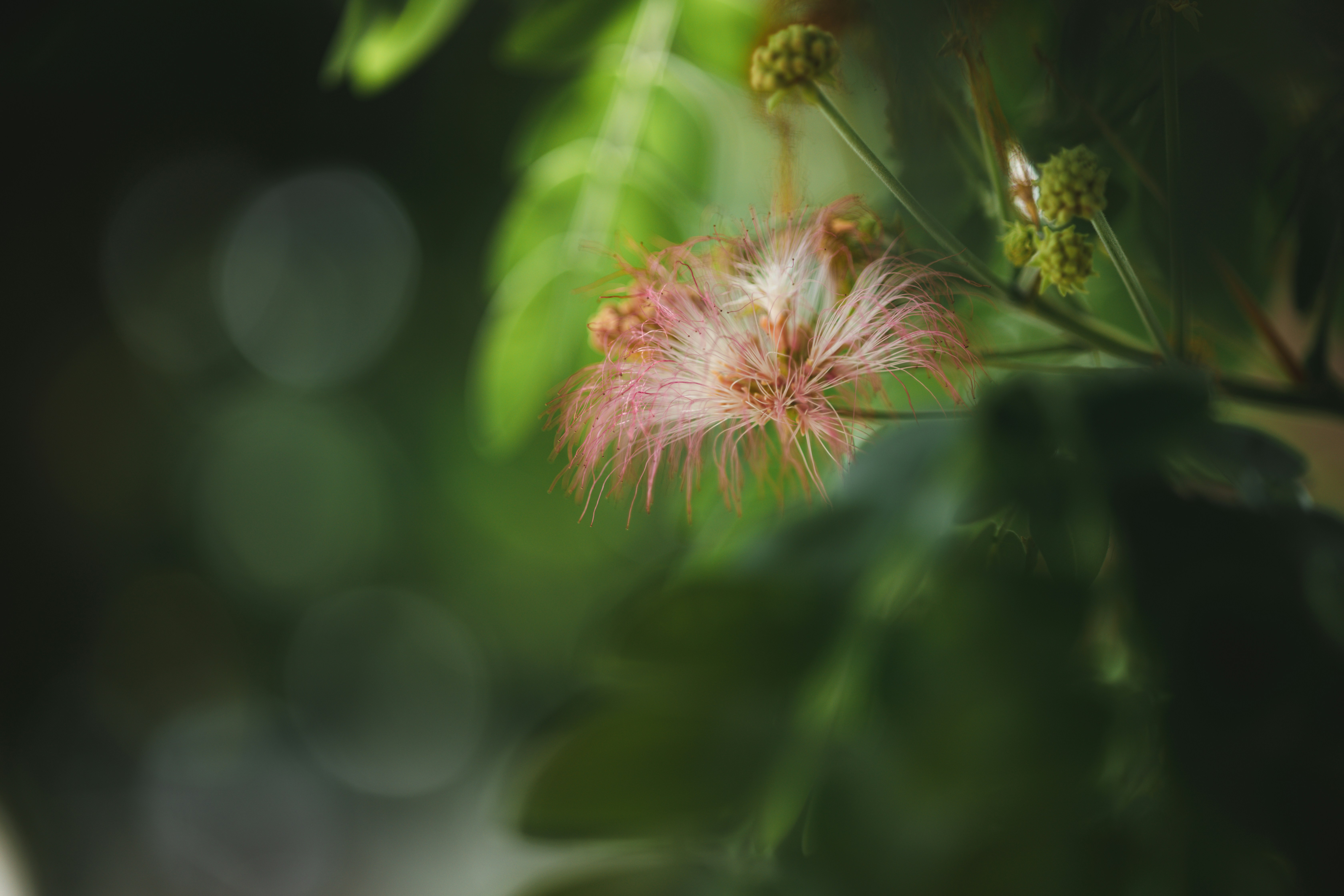 Photo by veecee_photography